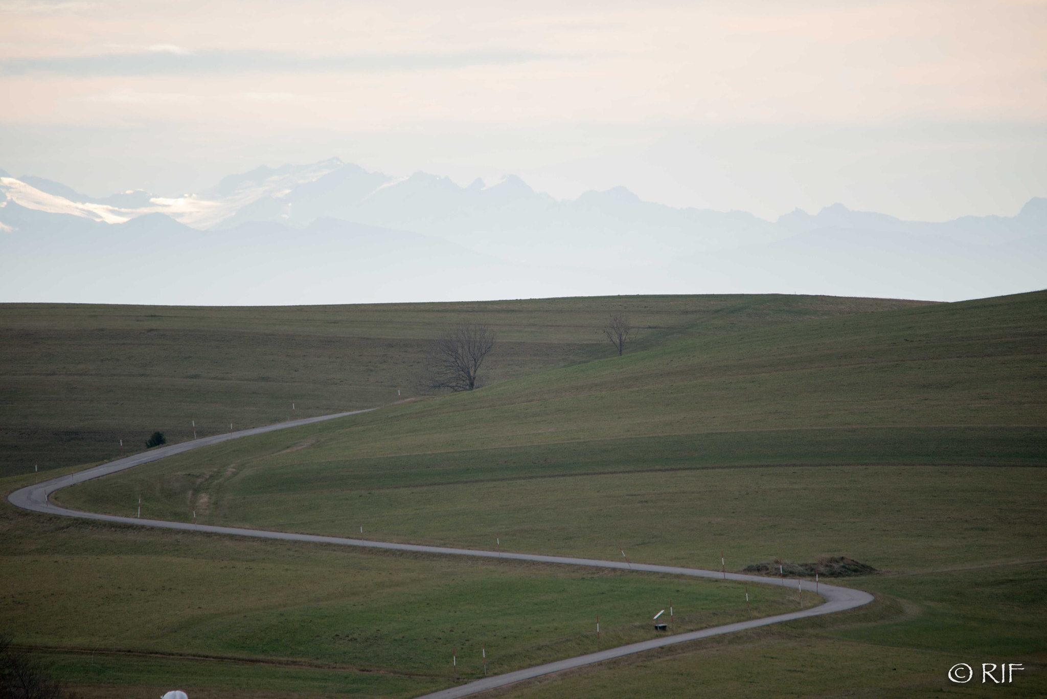 Sigma 150-500mm F5-6.3 DG OS HSM sample photo. Gersbach weg photography