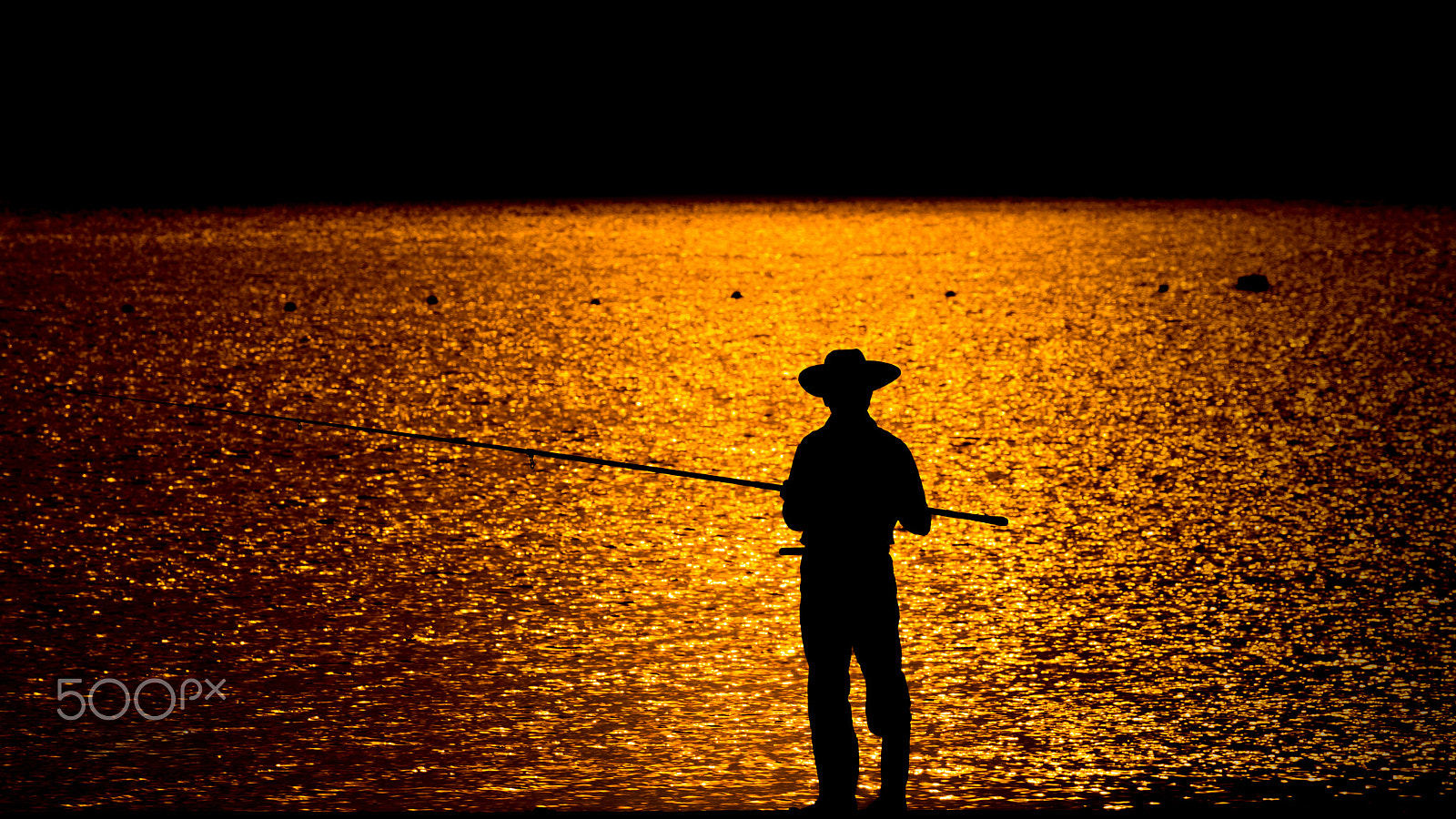 Sony DT 55-300mm F4.5-5.6 SAM sample photo. Sea cowboy photography