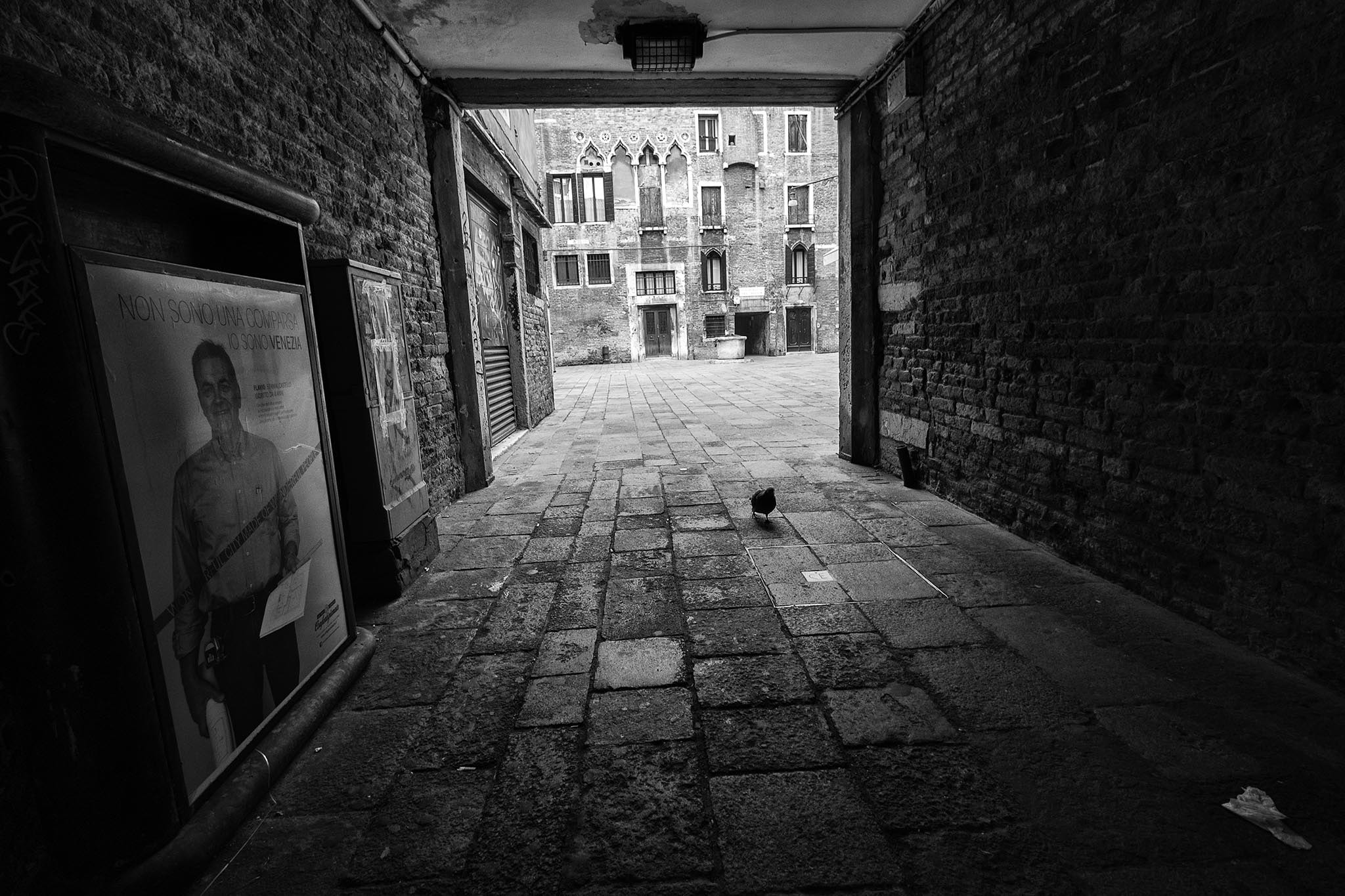 Olympus OM-D E-M5 + Panasonic Lumix G Vario 7-14mm F4 ASPH sample photo. Solo photography