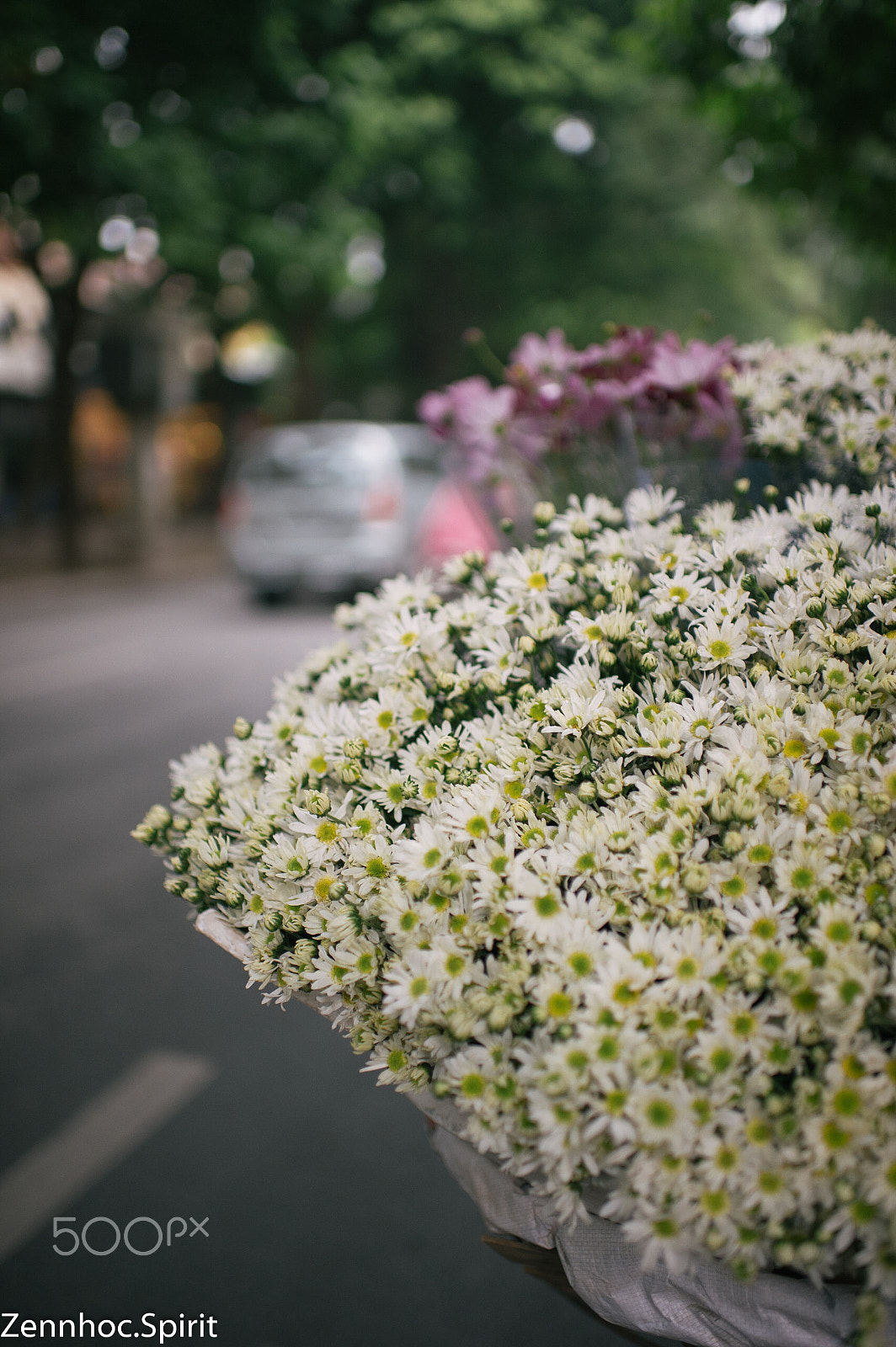 Nikon D3S + Nikon AF-S Nikkor 35mm F1.4G sample photo. Day’s eye in ha noi photography