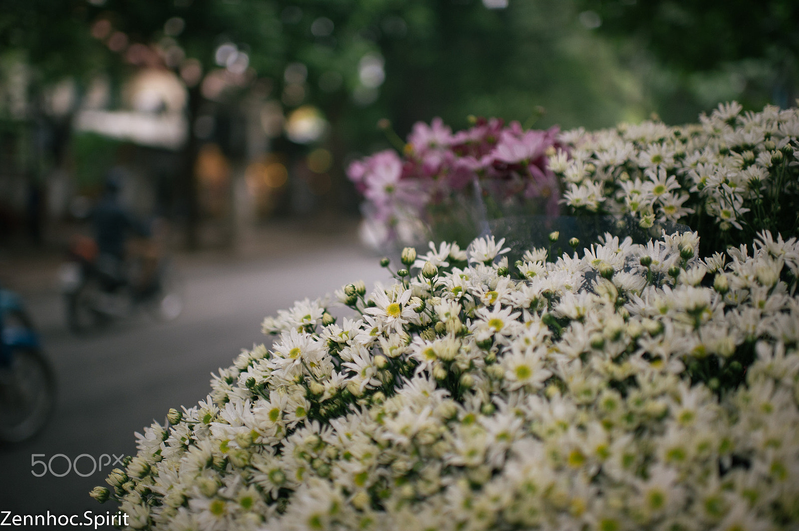 Nikon D3S + Nikon AF-S Nikkor 35mm F1.4G sample photo. Day’s eye in ha noi photography