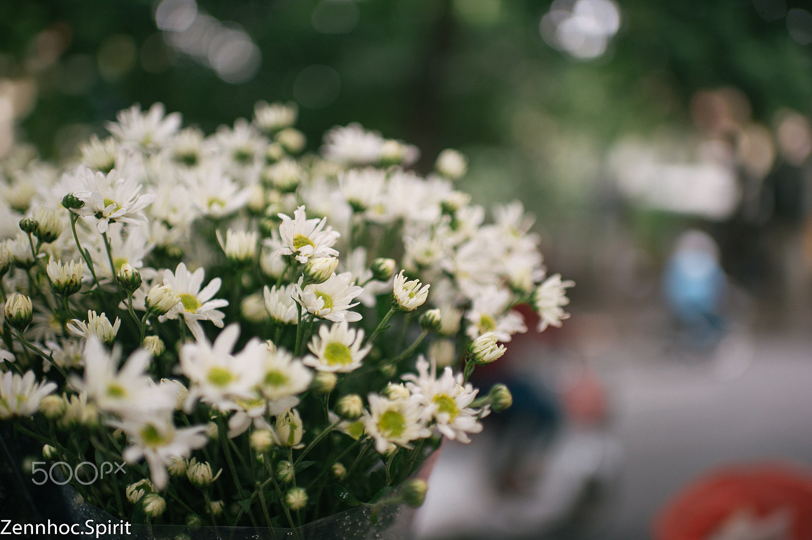 Nikon D3S + Nikon AF-S Nikkor 35mm F1.4G sample photo. Day’s eye in ha noi photography