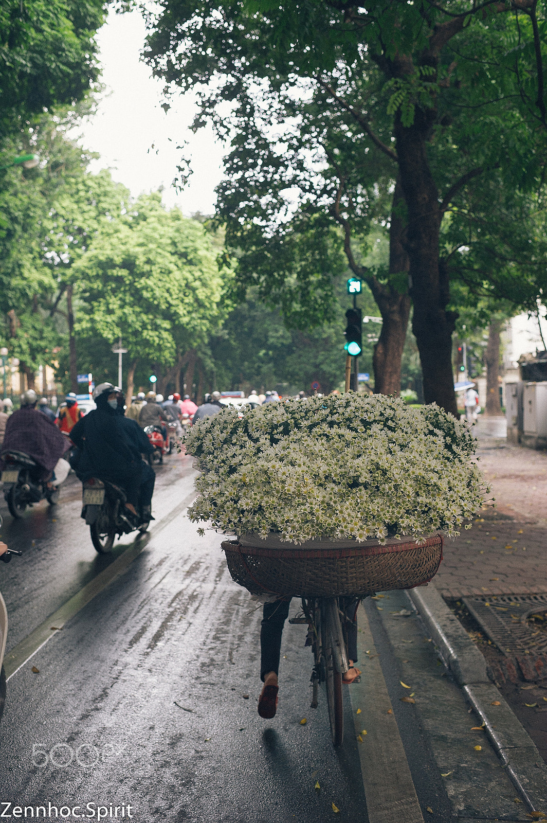 Nikon D3S + Nikon AF-S Nikkor 35mm F1.4G sample photo. Day’s eye in ha noi photography