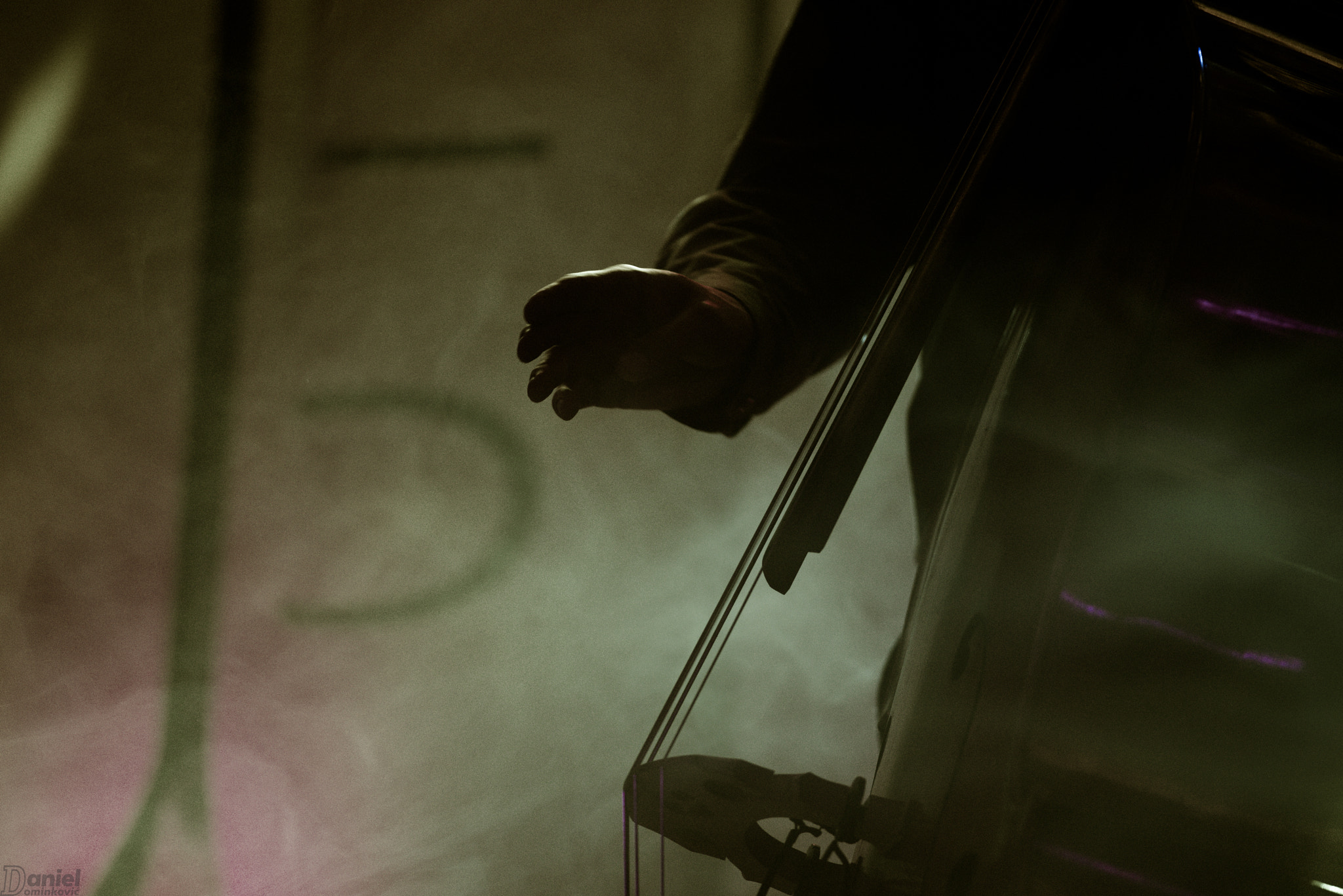 AF Nikkor 300mm f/4 IF-ED sample photo. Huge violin photography