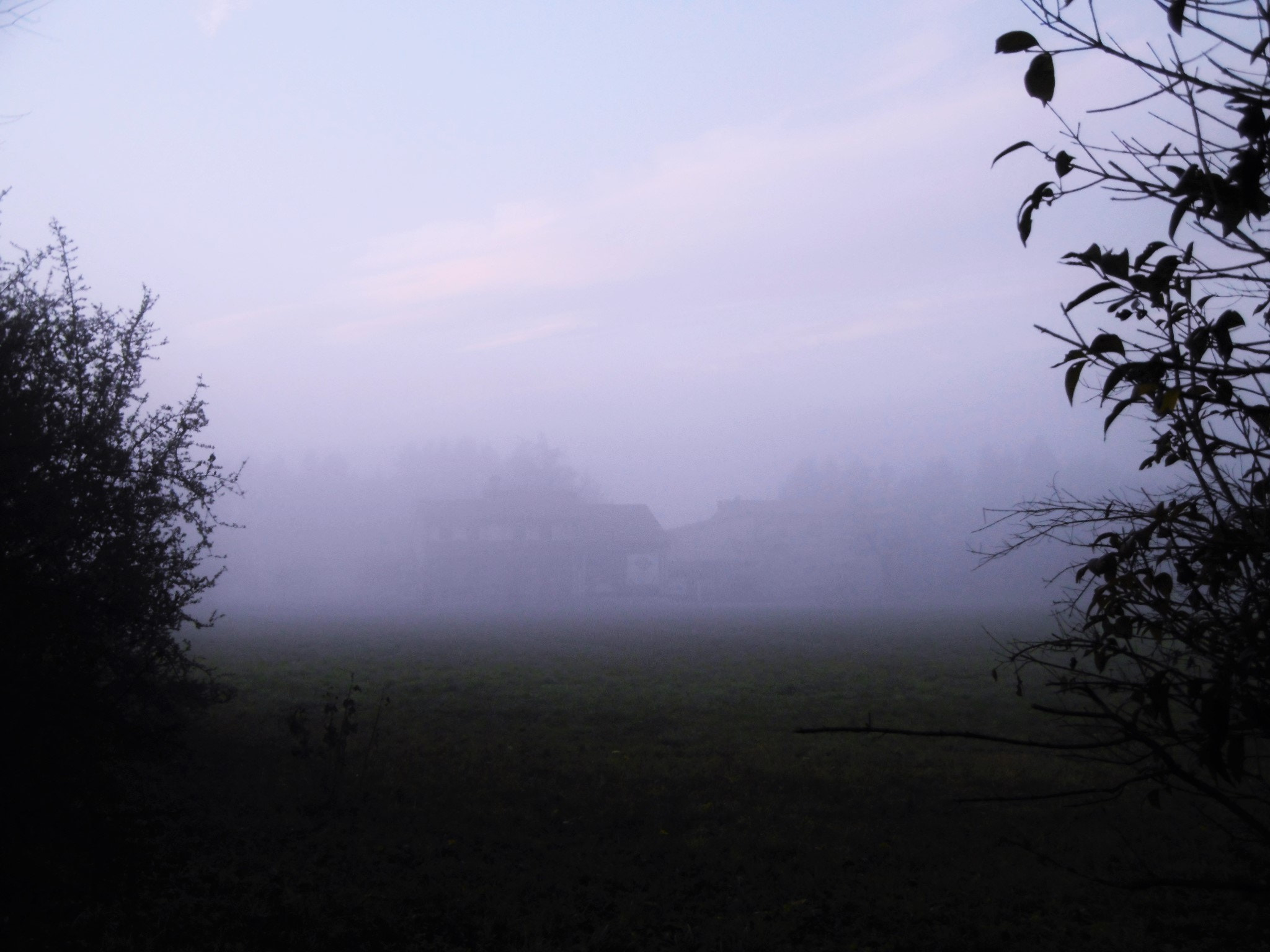Panasonic DMC-SZ8 sample photo. In the fog photography