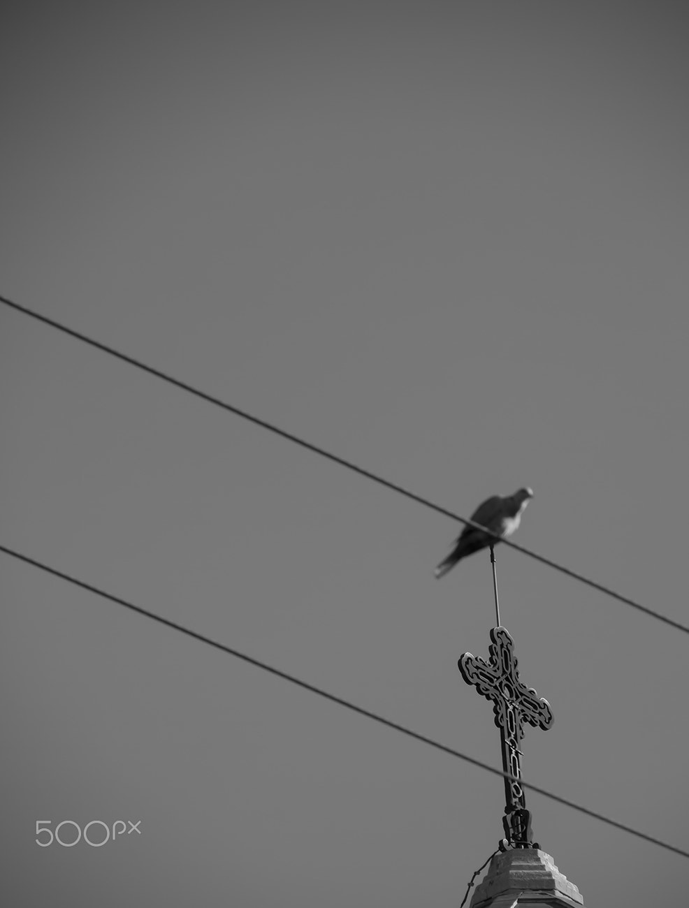 Panasonic Lumix DMC-GH1 sample photo. El nido de dios photography