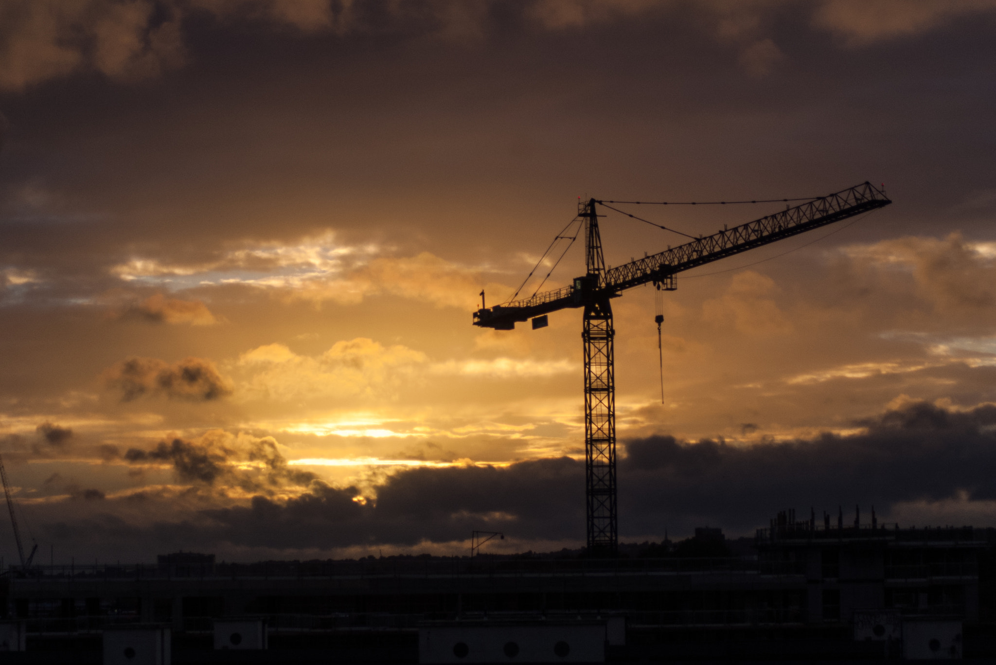 Pentax K100D Super sample photo. Crane photography