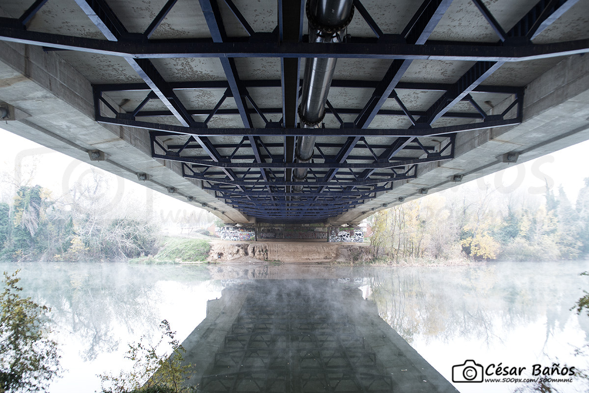 Nikon D610 + Sigma 24mm F2.8 Super Wide II Macro sample photo. Under the bridge photography