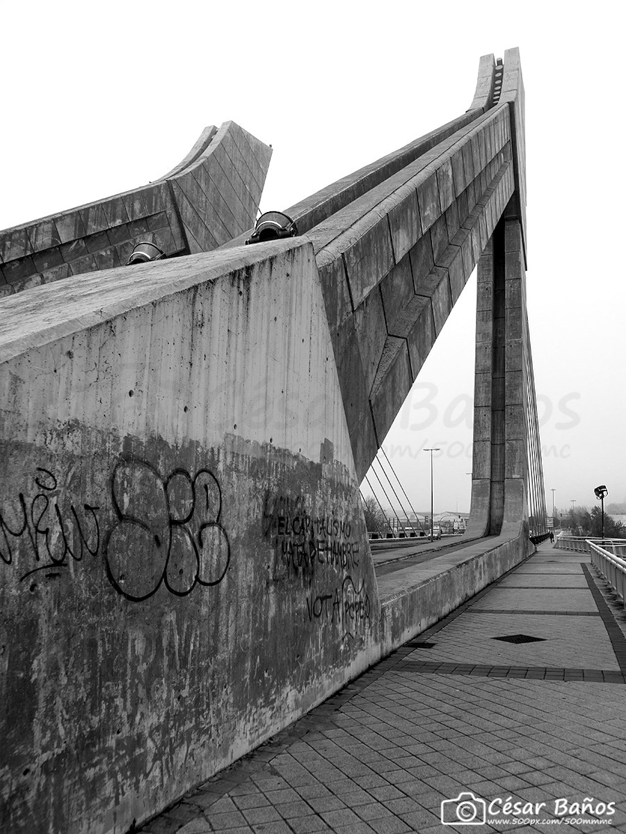 Nikon D610 + Sigma 24mm F2.8 Super Wide II Macro sample photo. Puente de hispanoamérica photography