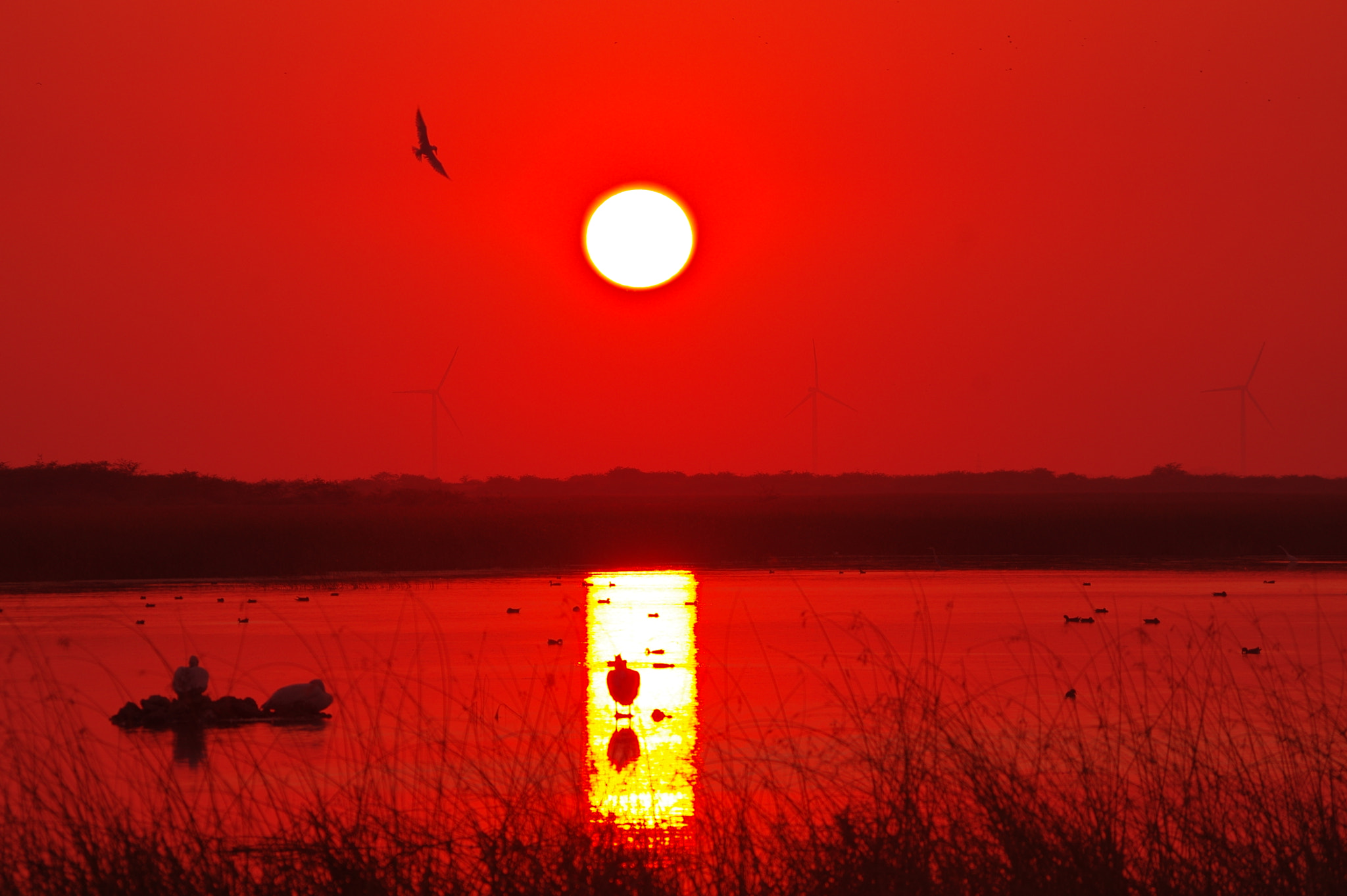 smc PENTAX-DA L 55-300mm F4-5.8 ED sample photo. Sunset photography