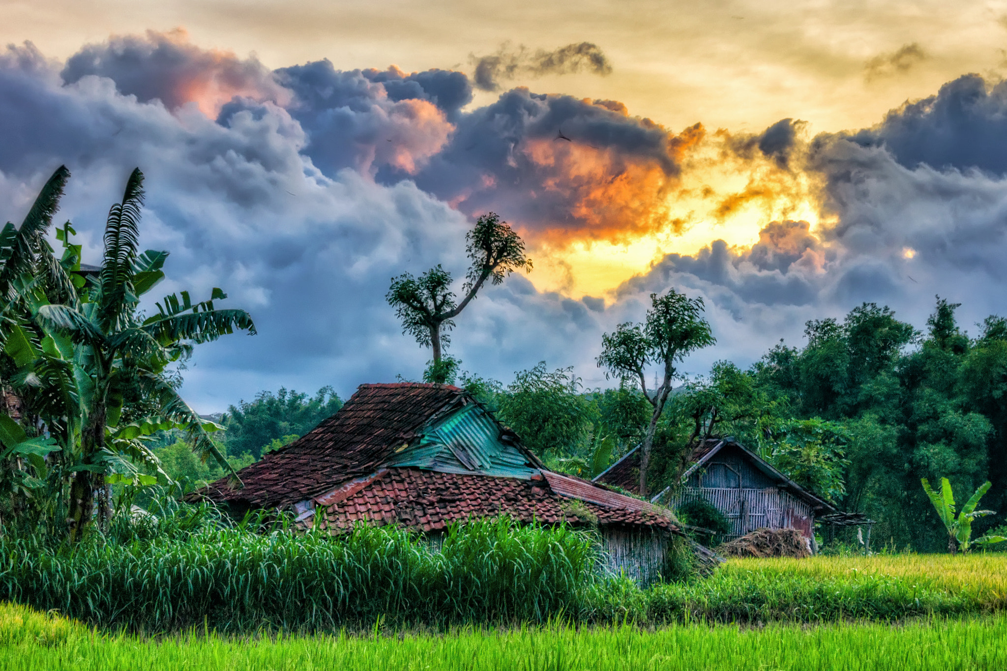 Sony Alpha DSLR-A560 sample photo. Gubuk saat senja photography