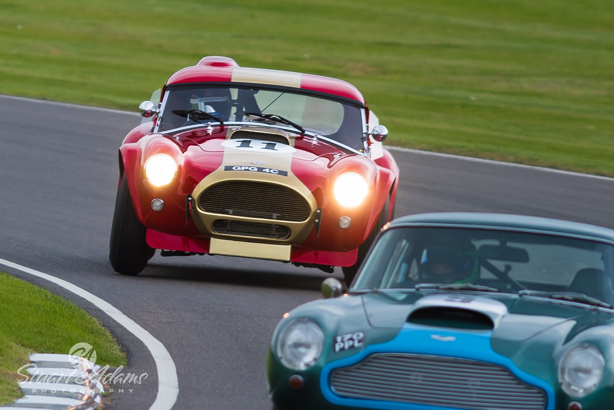 AF-S Nikkor 300mm f/2.8D IF-ED II sample photo. Ac cobra photography