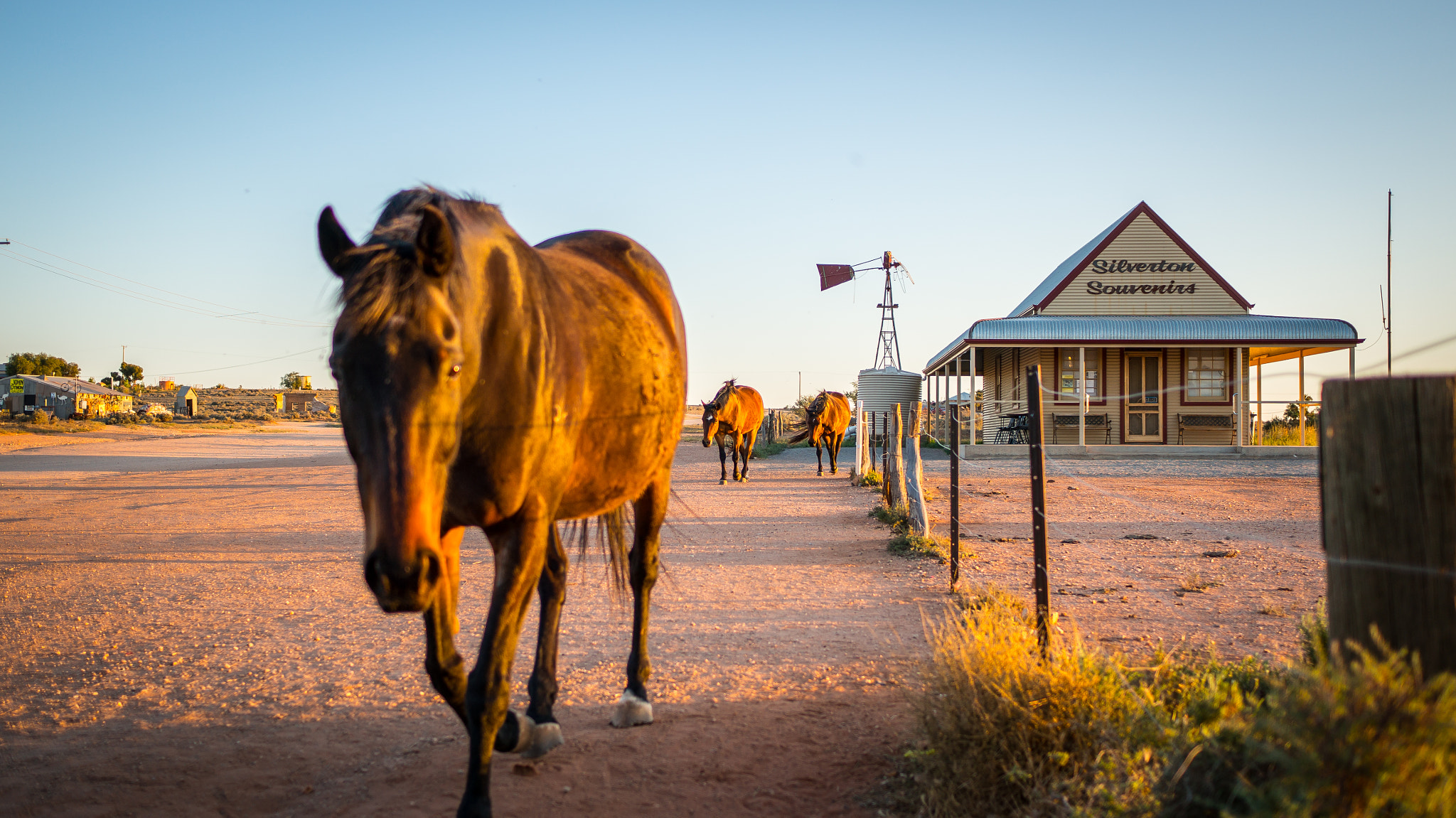 Sony Alpha NEX-6 + Sony Sonnar T* E 24mm F1.8 ZA sample photo. Some horses coming for a drink at the silverstone pub. photography