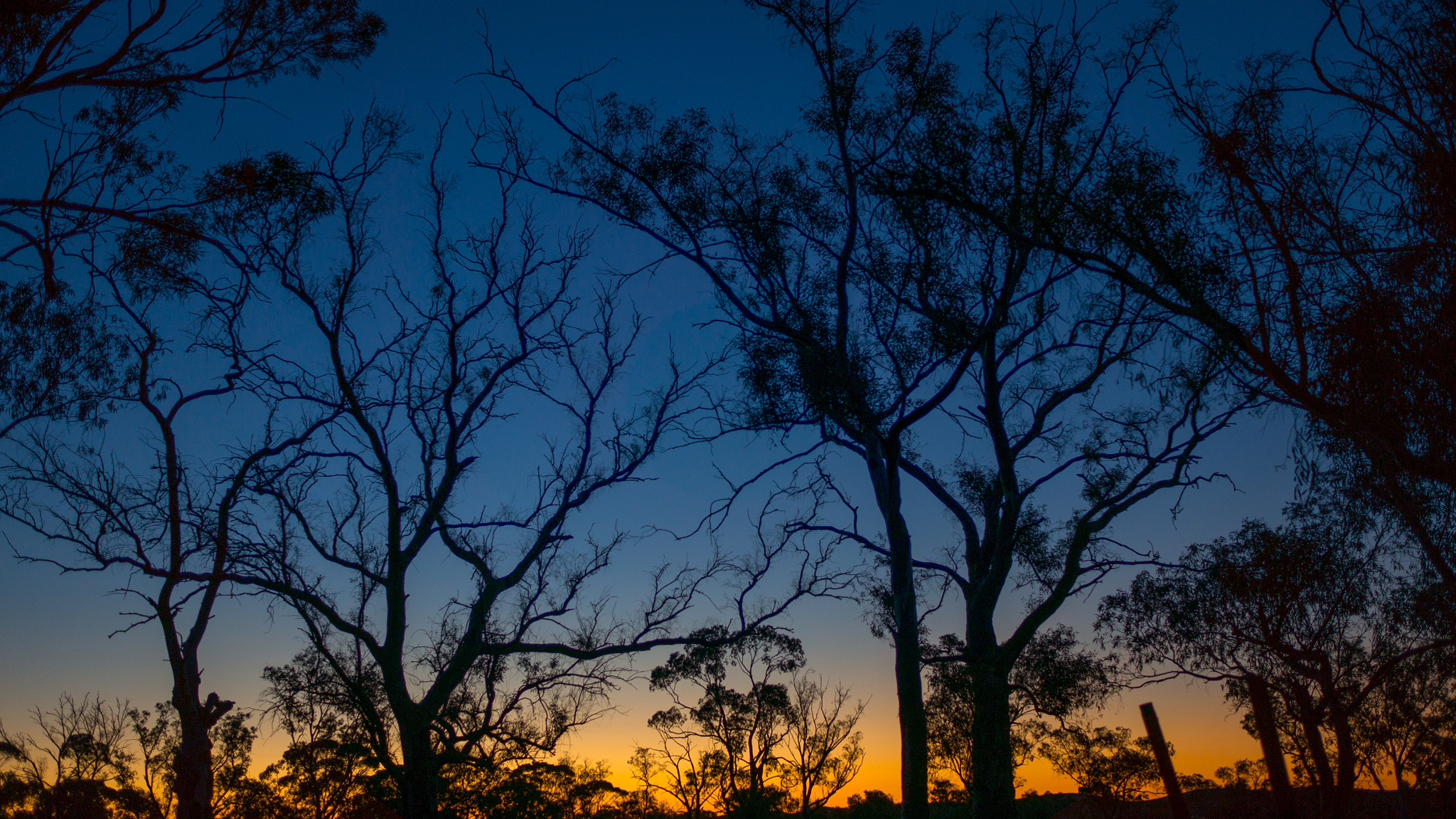 Sony Alpha NEX-6 + Sony Sonnar T* E 24mm F1.8 ZA sample photo. An outback sunset photography