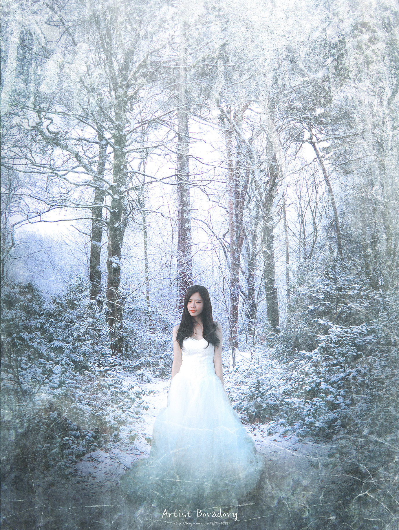 Canon EOS-1Ds sample photo. Winter forest photography