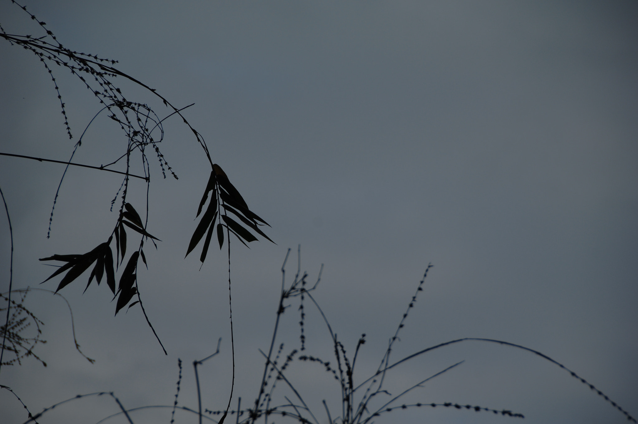 Nikon D2X sample photo. .. photography