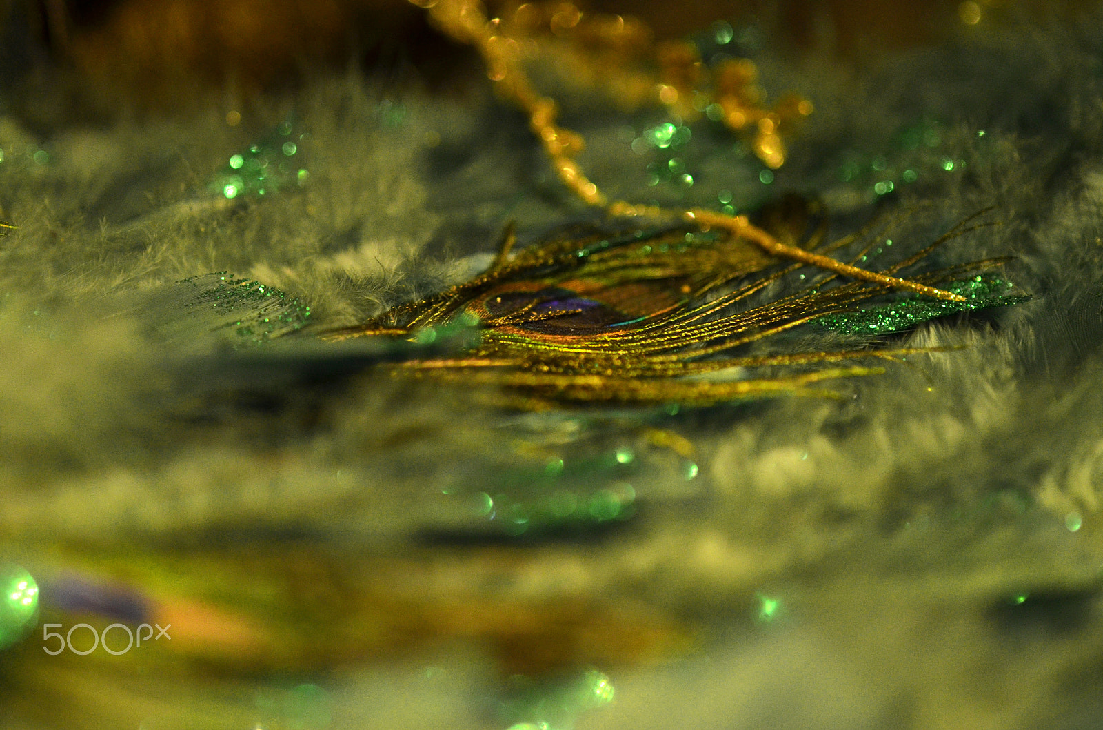 Nikon D5100 + Sigma 50mm F2.8 EX DG Macro sample photo. Bad luck photography