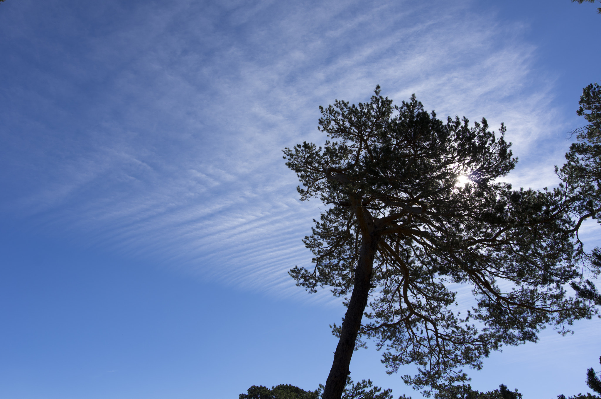 Pentax K-3 II sample photo. Sky photography
