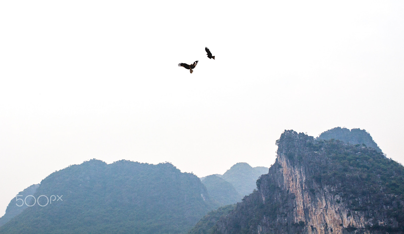 Canon EOS 650D (EOS Rebel T4i / EOS Kiss X6i) sample photo. Traditional chinese eagle photography