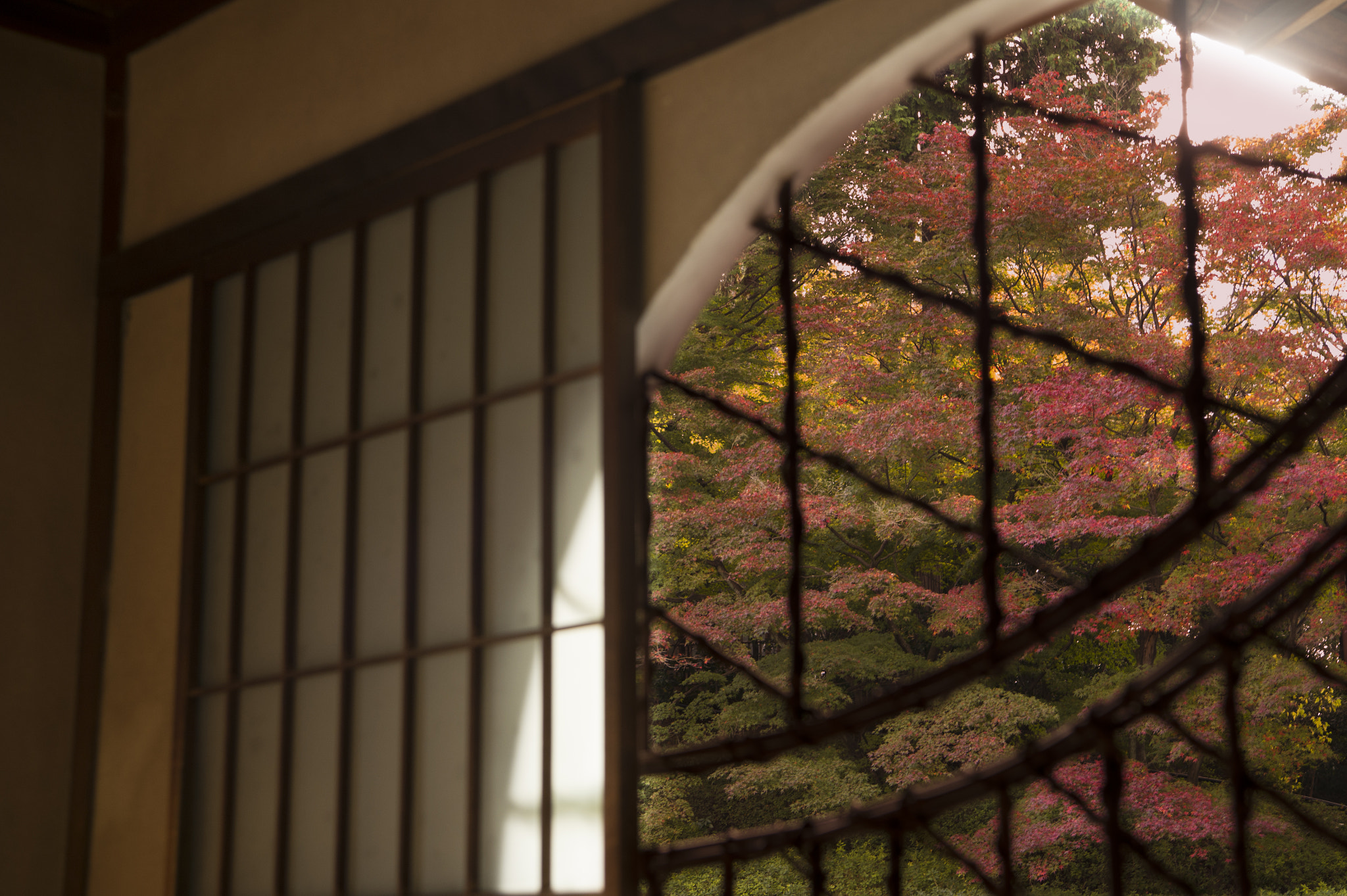 Nikon AF-S Nikkor 24-70mm F2.8E ED VR sample photo. View from a window photography