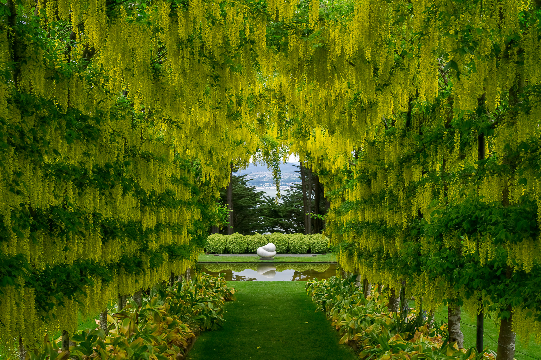 Sony a6000 + Sony Sonnar T* FE 35mm F2.8 ZA sample photo. Larnach castle garden photography
