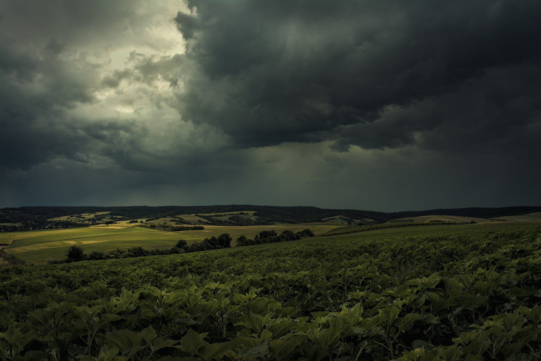 AF Zoom-Nikkor 24-120mm f/3.5-5.6D IF sample photo. Sky falling photography