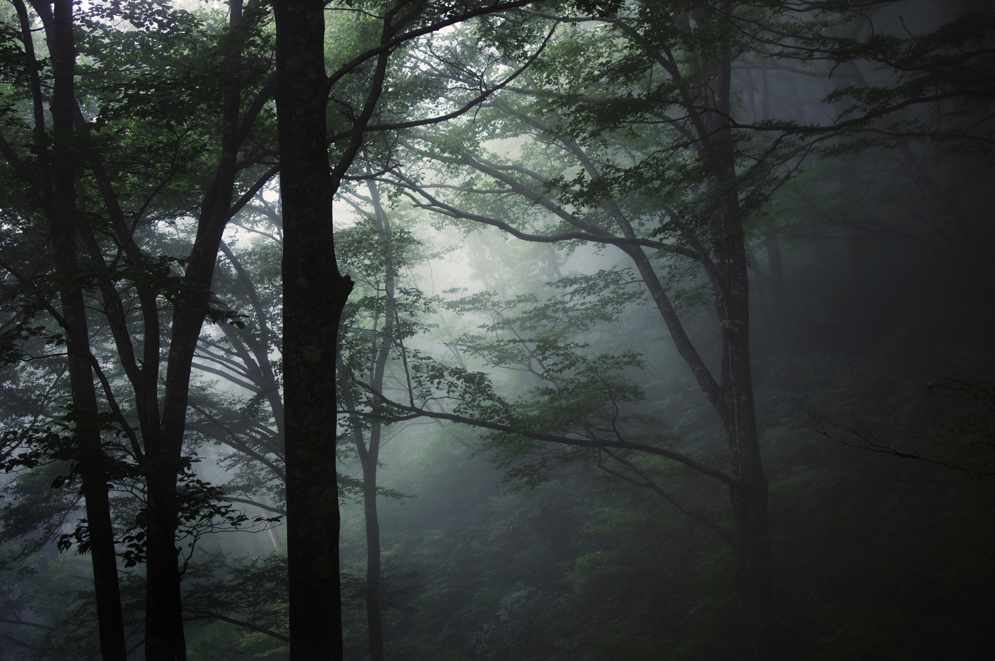 Pentax K-3 sample photo. Mt.yokoyamadake / shiga prefecture photography