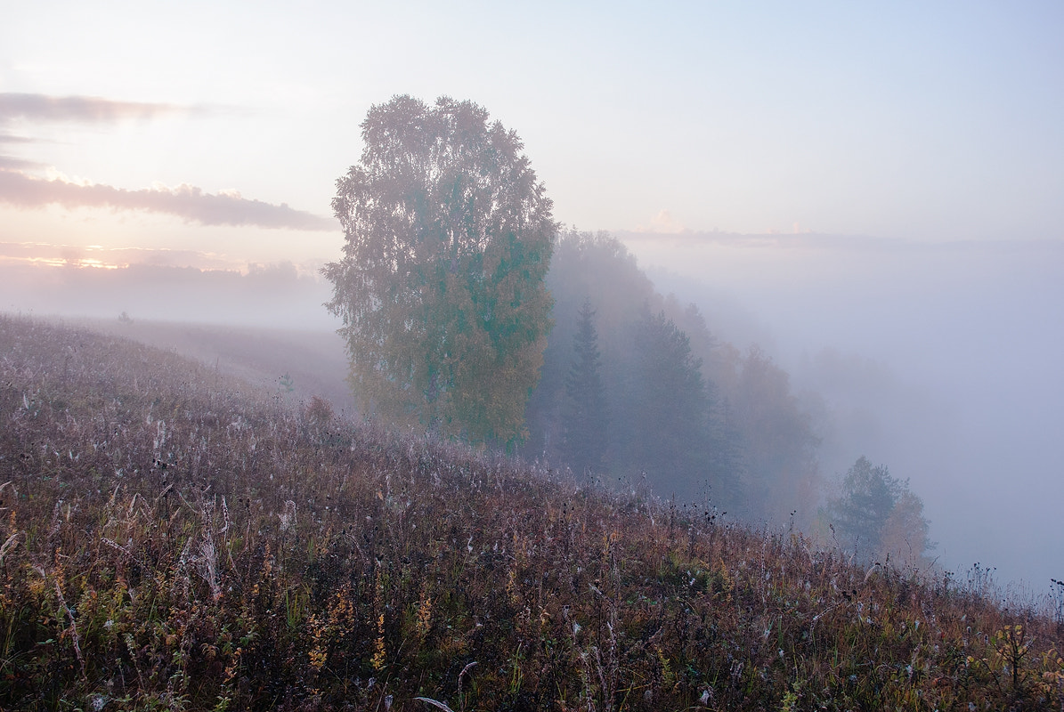 Nikon D60 sample photo. Morning on nemda. photography