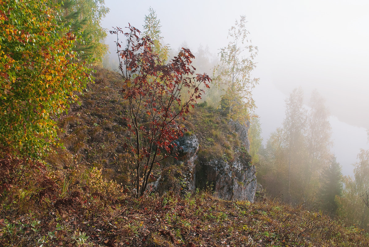 Nikon D60 sample photo. Rock. photography