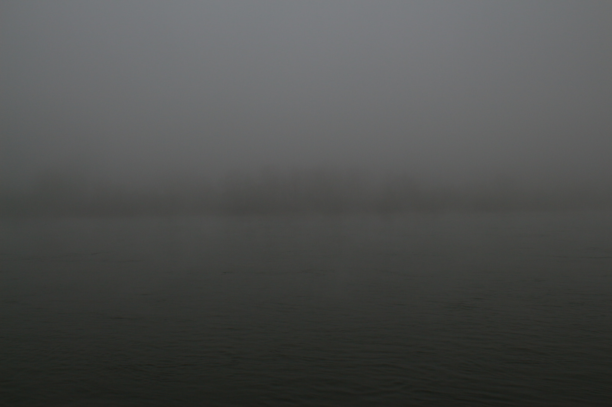 Sigma 18-50mm F2.8-4.5 DC OS HSM sample photo. Foggy rhein river at noon in december photography