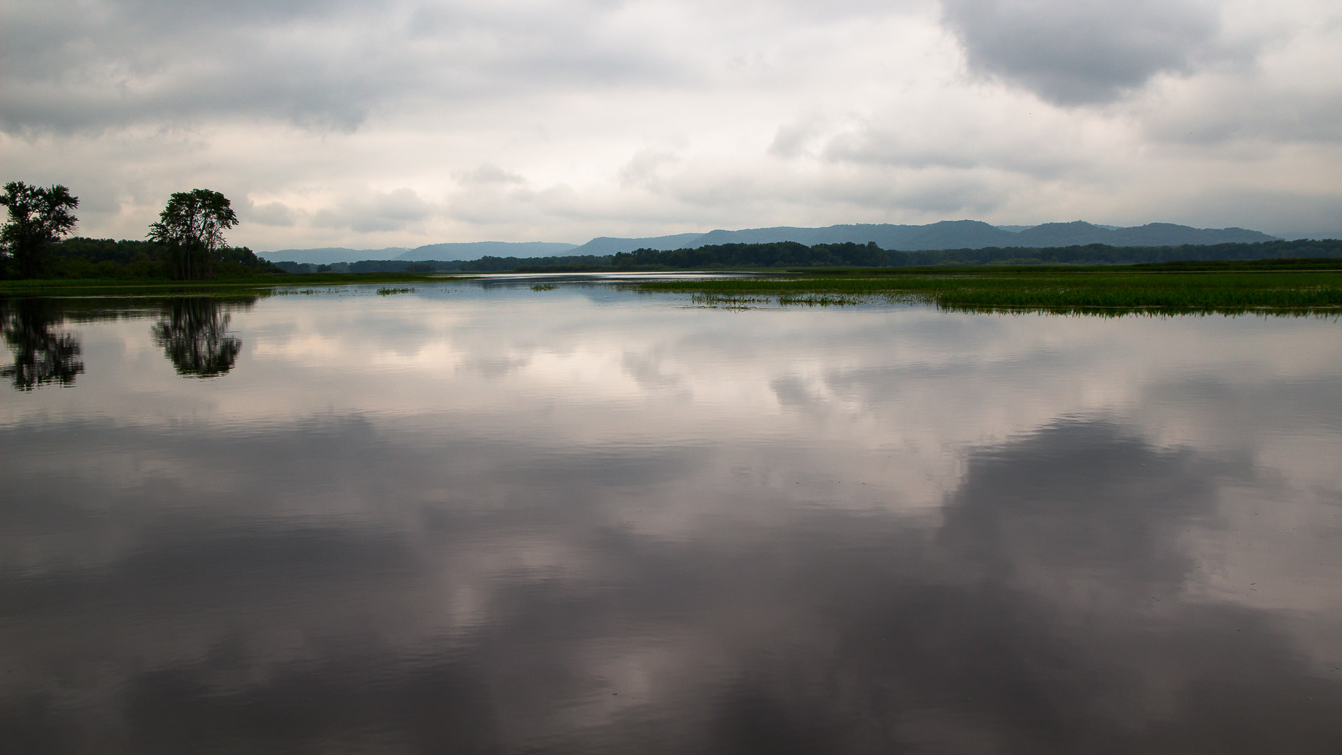 Canon EOS 100D (EOS Rebel SL1 / EOS Kiss X7) sample photo. Backwater photography
