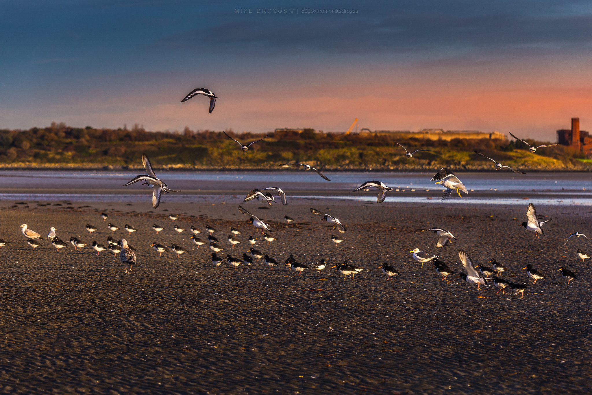 Canon EF 35-350mm F3.5-5.6L USM sample photo. Rise and shine photography