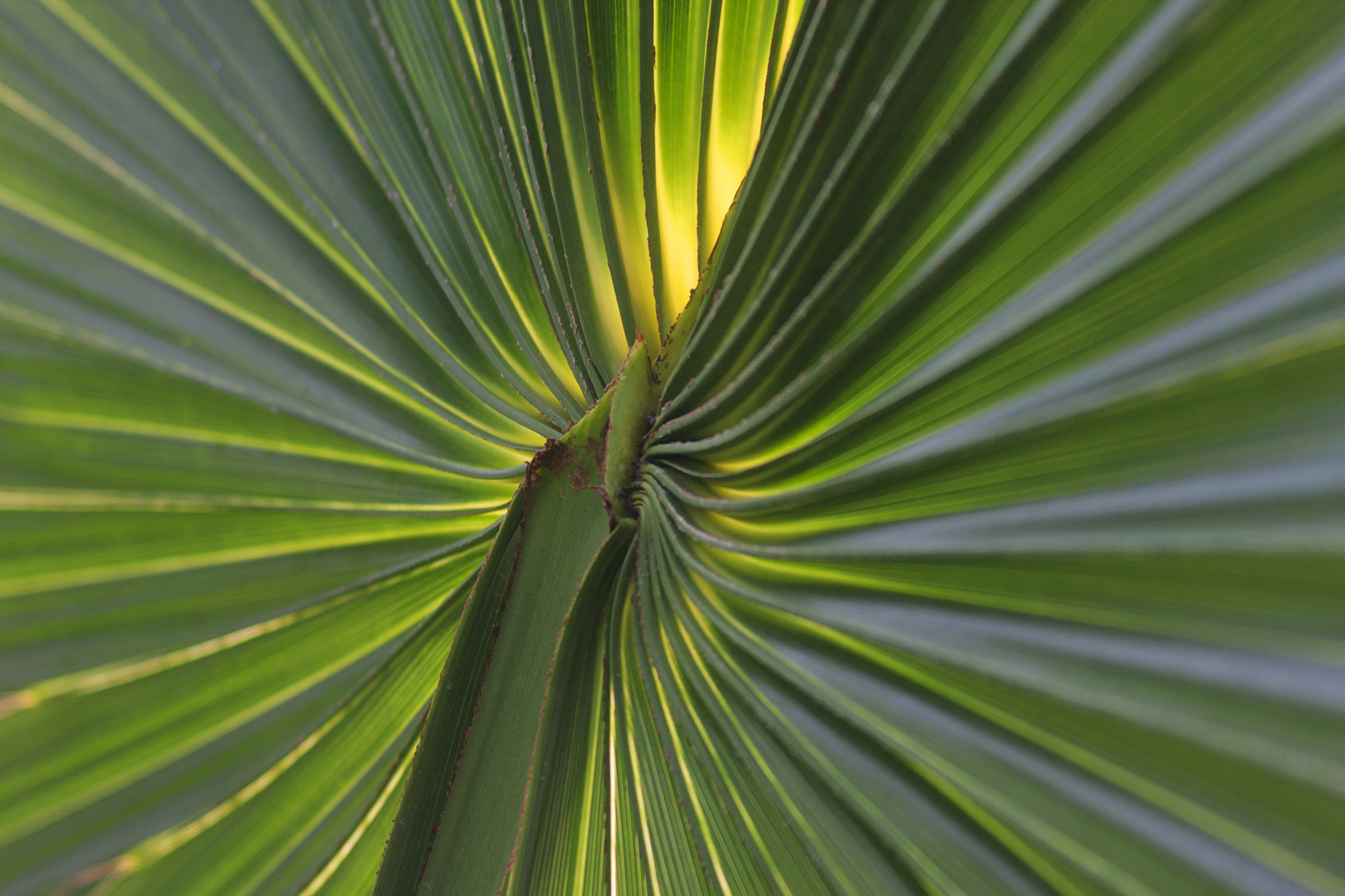 Canon EF 75-300mm F4.0-5.6 IS USM sample photo. Flatford kew photography