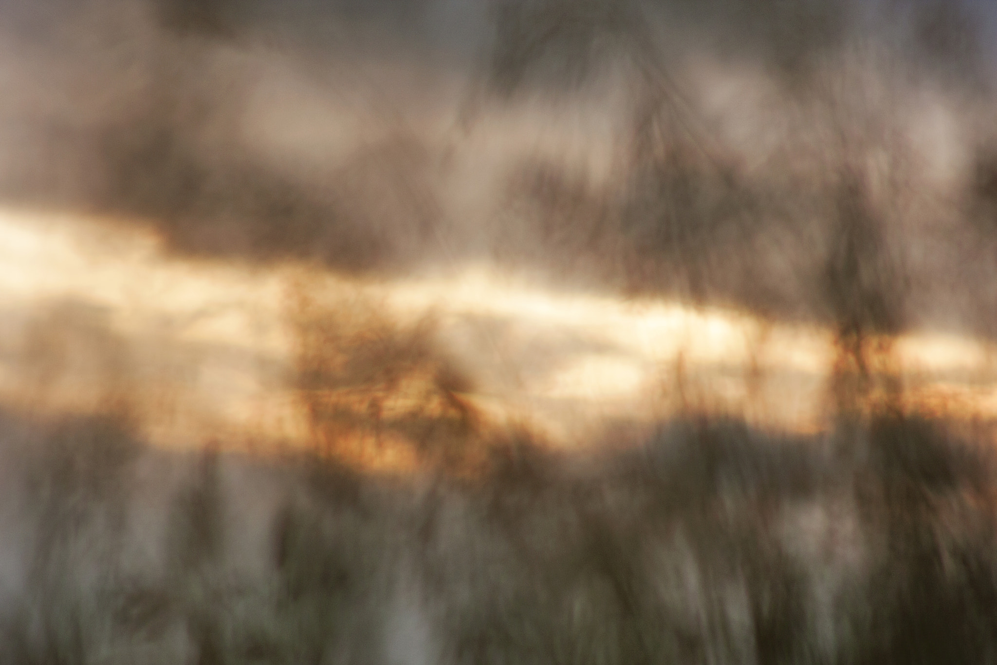 Canon EF 75-300mm F4.0-5.6 IS USM sample photo. Dorset juneth photography