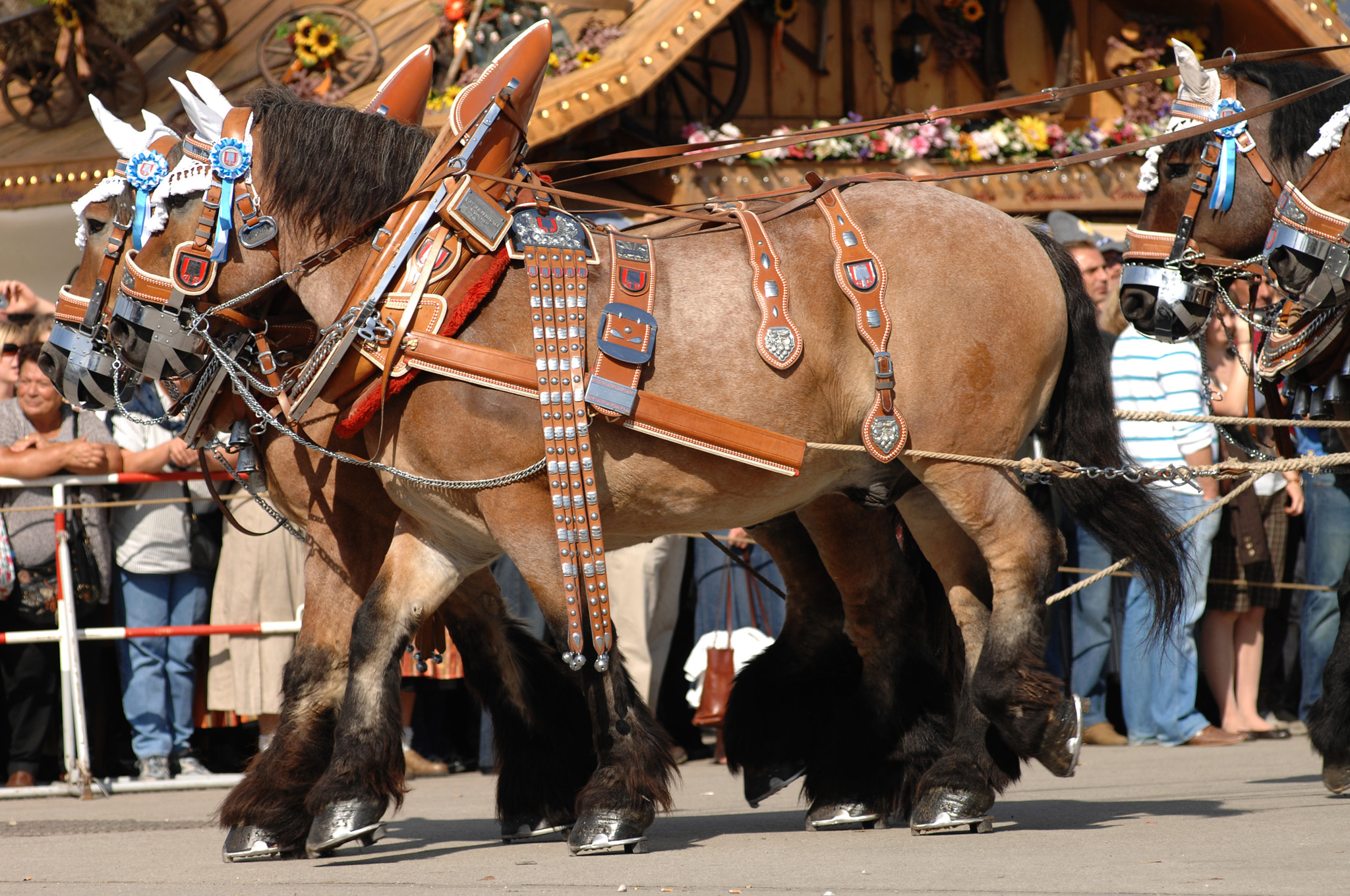 Nikon D2Xs sample photo. Octoberfest munich photography