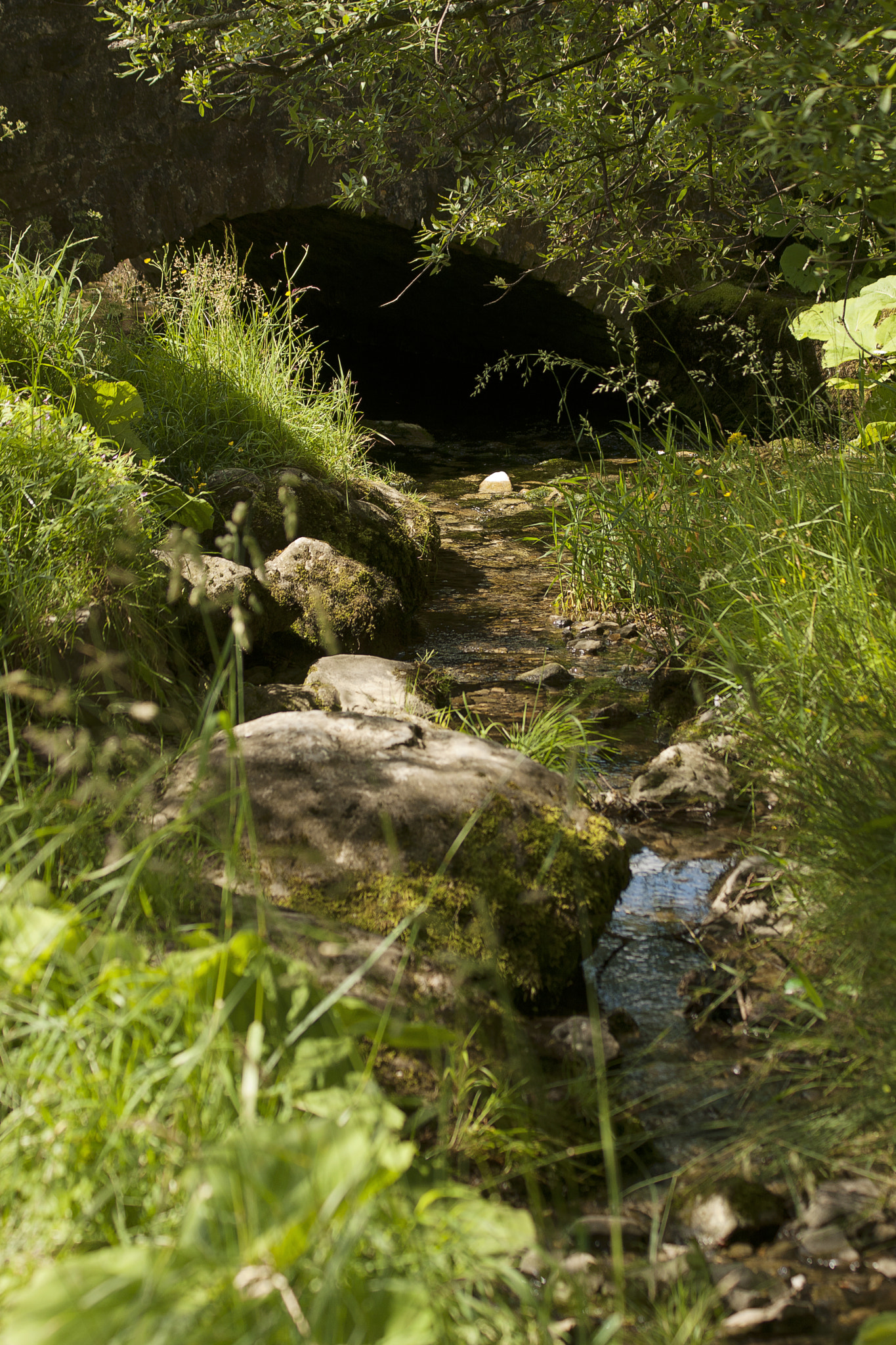 Canon EF 75-300mm F4.0-5.6 IS USM sample photo. Malham photography