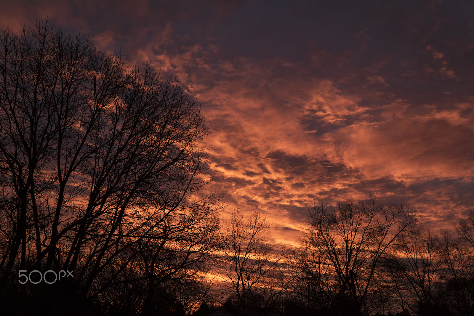Canon EOS 760D (EOS Rebel T6s / EOS 8000D) sample photo. Fiery sunrise! photography