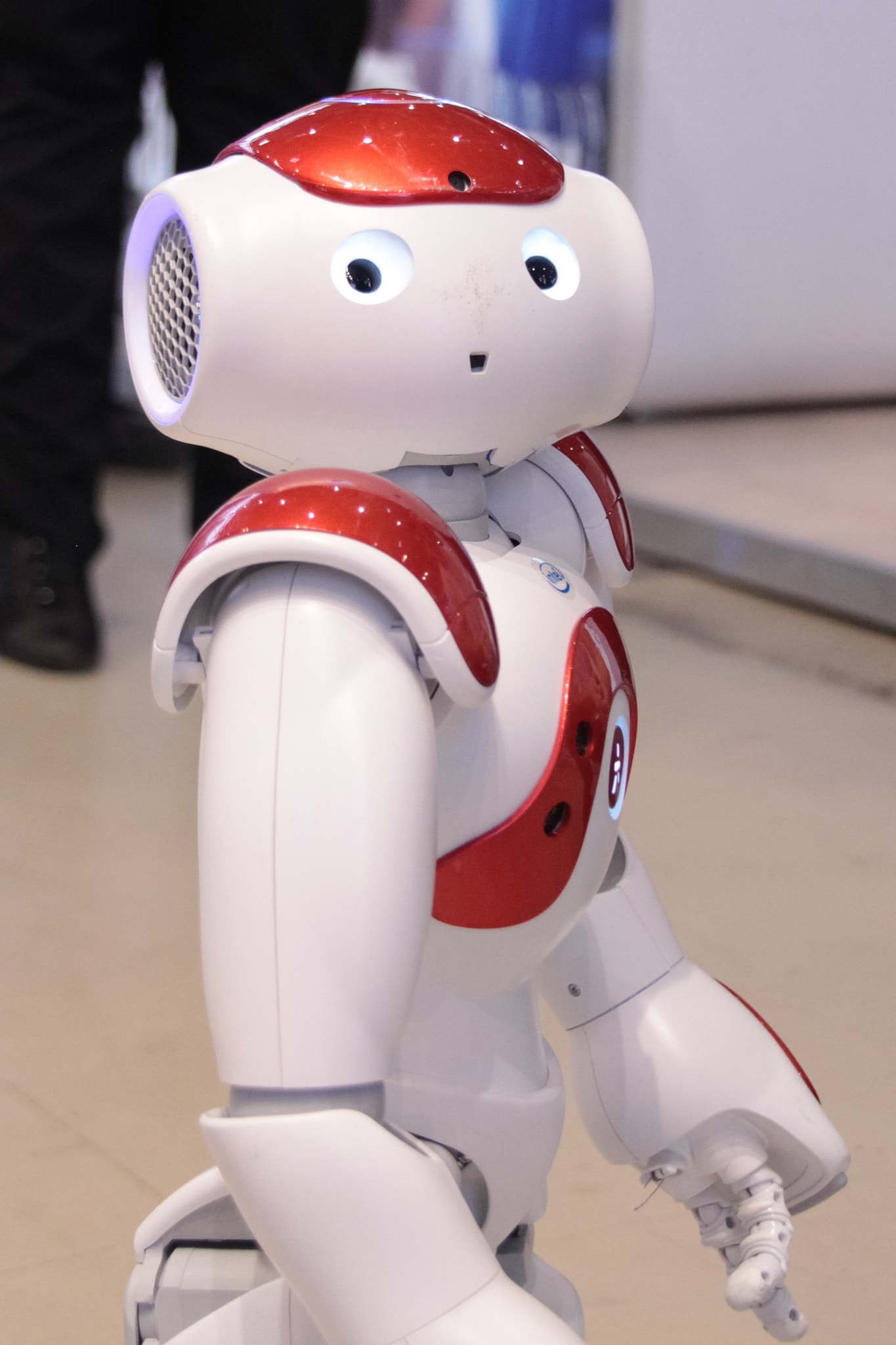 Sigma 18-125mm F3.8-5.6 DC OS HSM sample photo. Cute robot photography