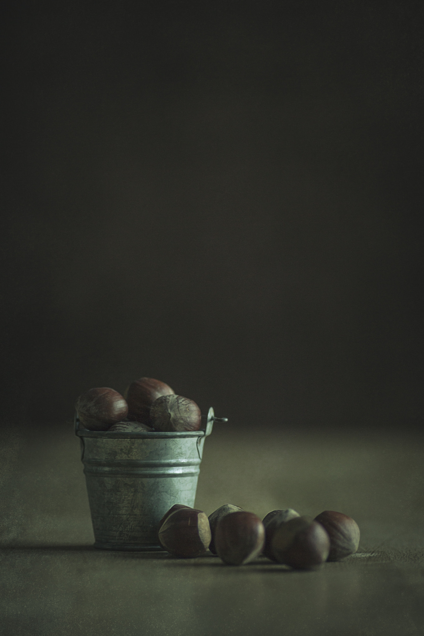 Tamron SP AF 90mm F2.8 Di Macro sample photo. Nuts photography