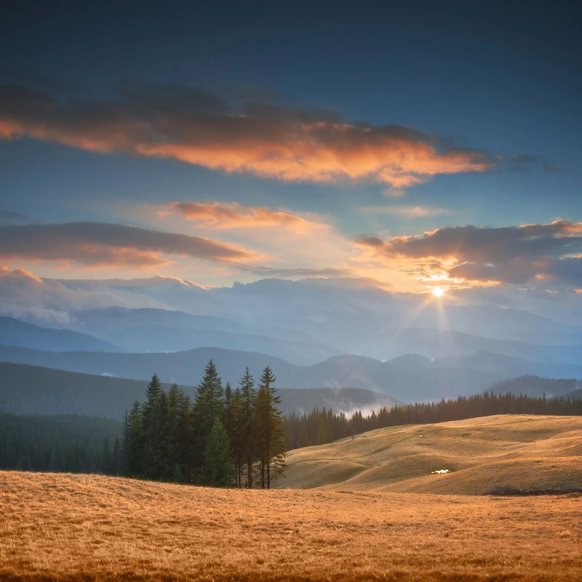 Samyang 14mm F2.8 ED AS IF UMC sample photo. Carpathian calmness photography