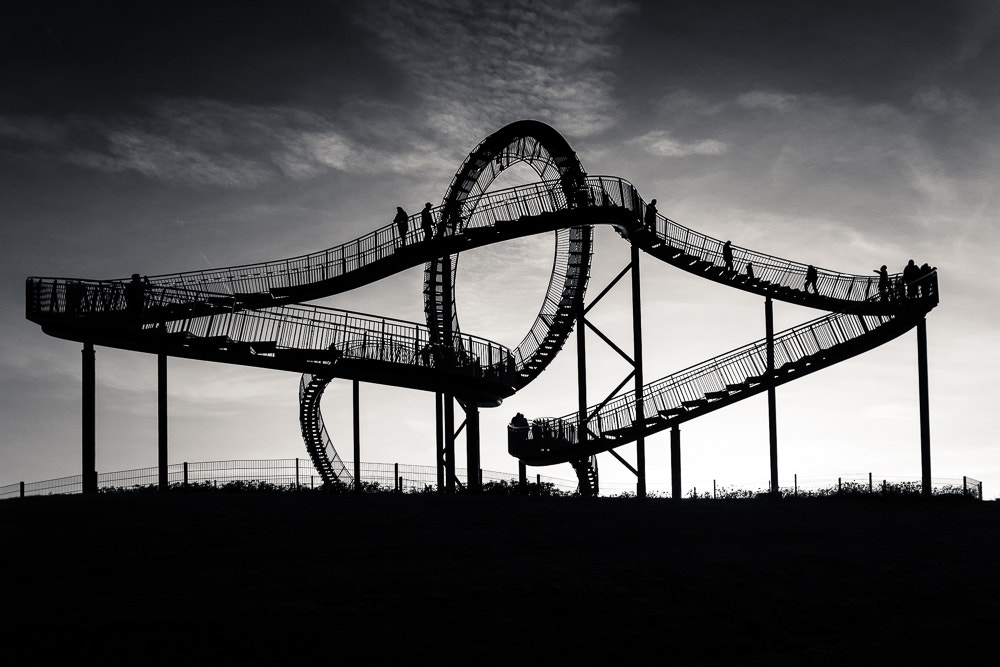 Olympus OM-D E-M1 + Olympus M.Zuiko Digital 17mm F2.8 Pancake sample photo. Tiger and turtle photography