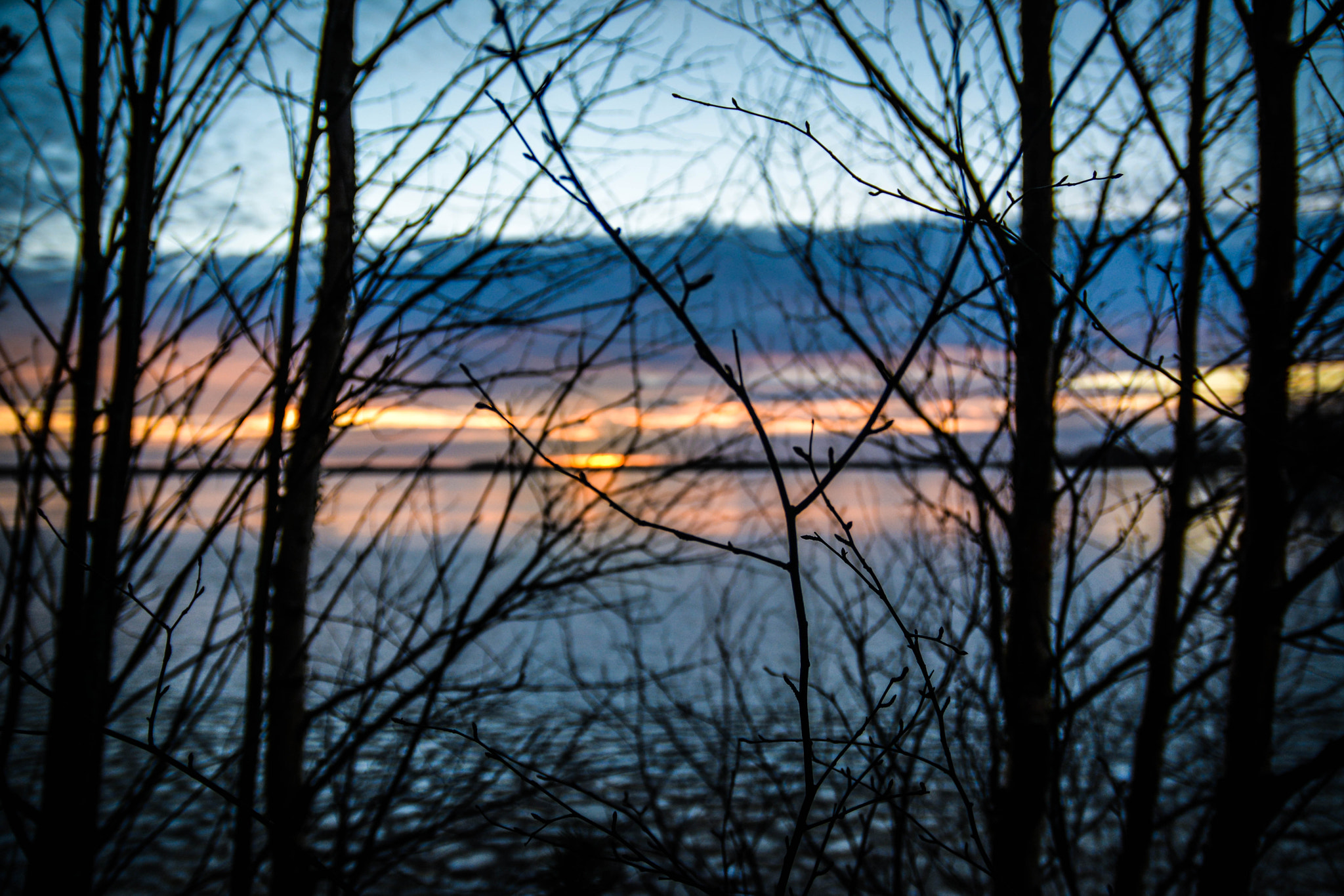 Nikon D5200 + Sigma 18-50mm F2.8 EX DC sample photo. Dsc_0576.jpg photography