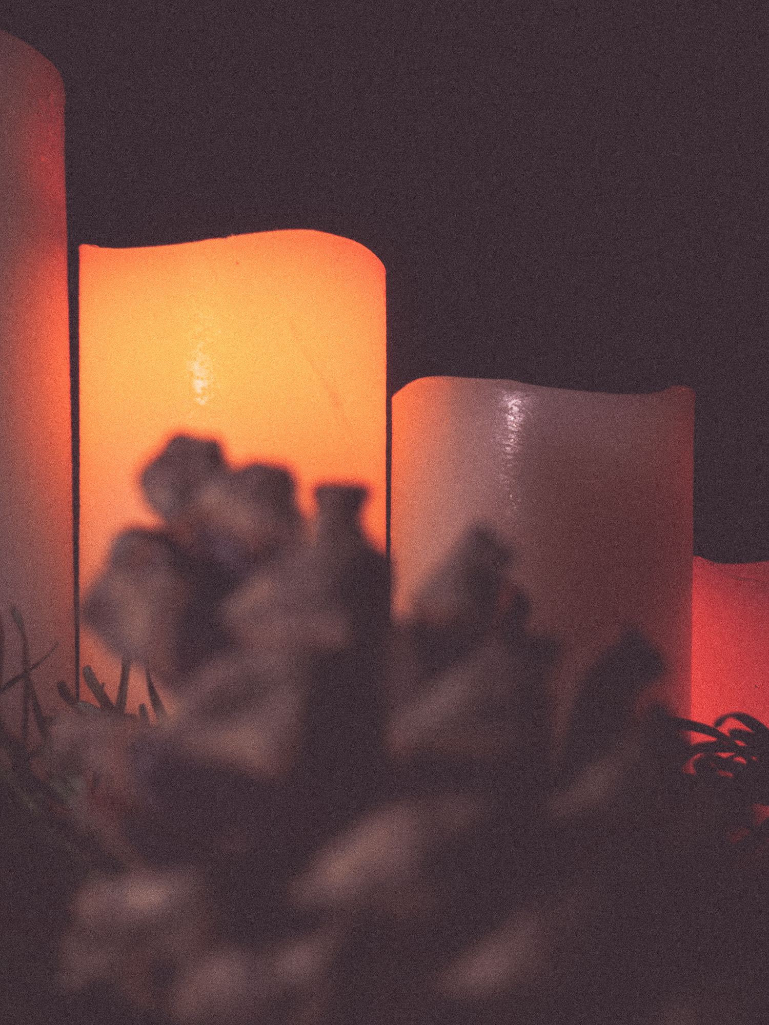 Olympus OM-D E-M1 + Sigma 19mm F2.8 DN Art sample photo. 8/365 - it's christmastime photography