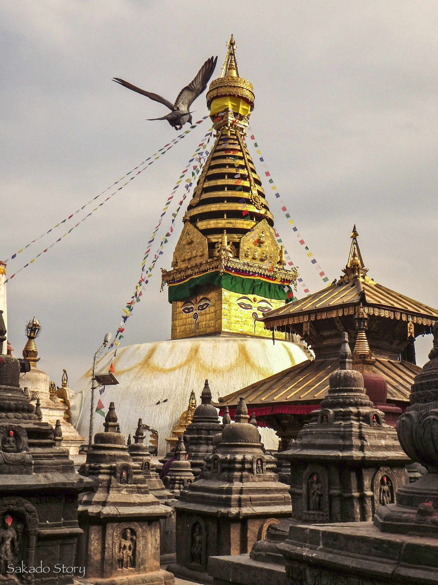 Pentax Optio WG-2 sample photo. Nepal kathmandu stupa photography