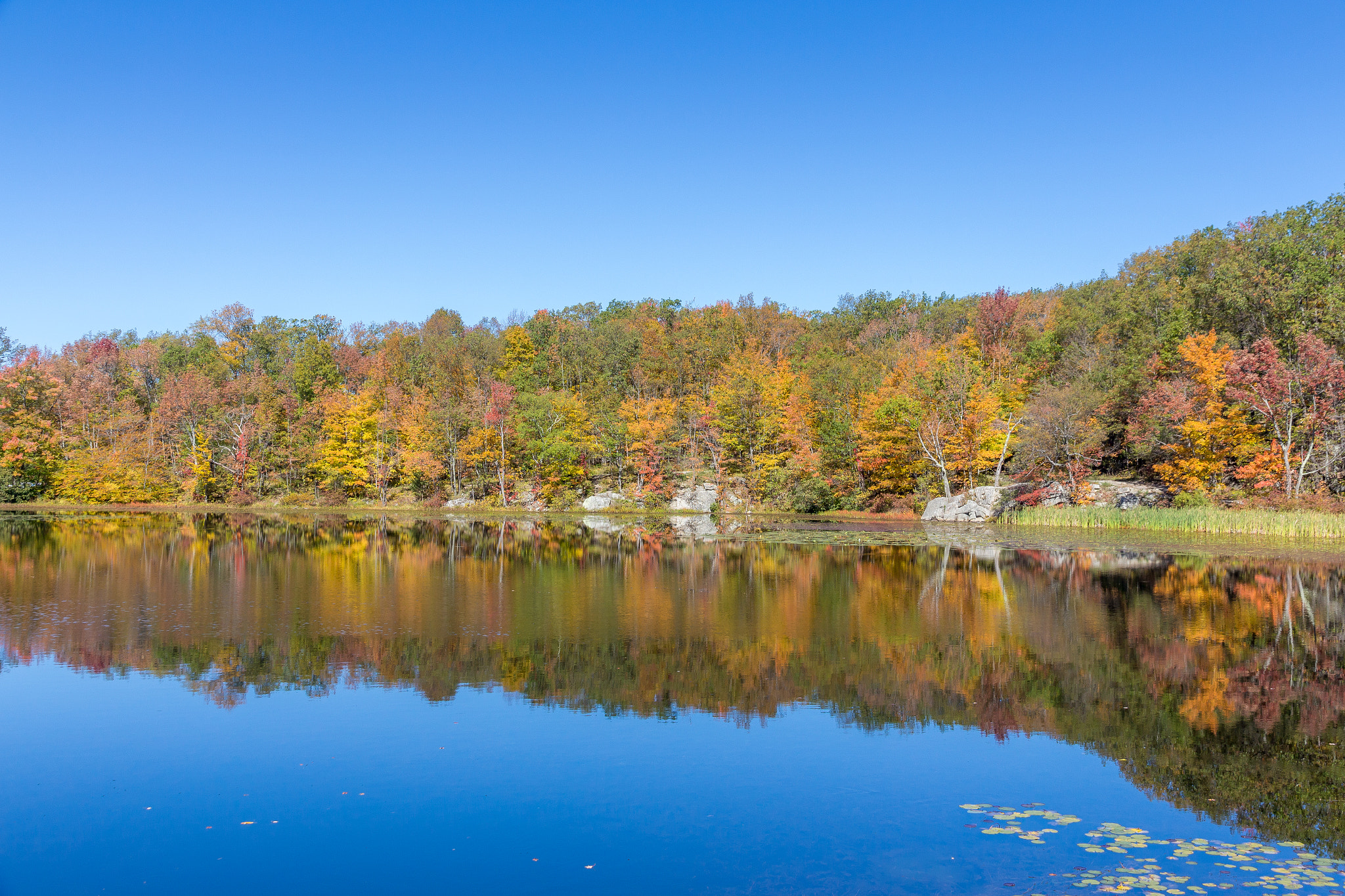 Canon EOS 650D (EOS Rebel T4i / EOS Kiss X6i) sample photo. Autumn reflection photography