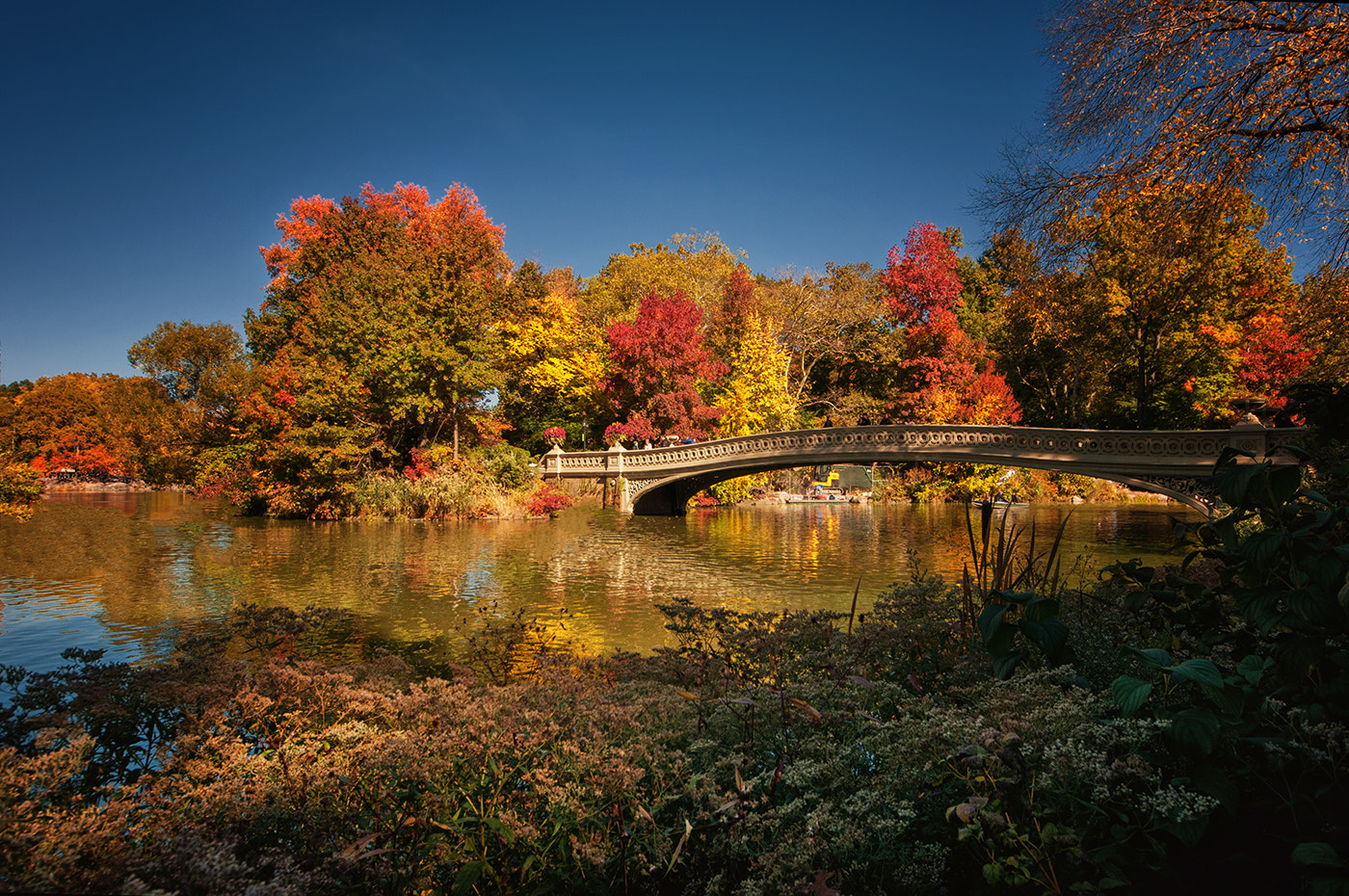 Sigma 8-16mm F4.5-5.6 DC HSM sample photo. Ny central park autum photography