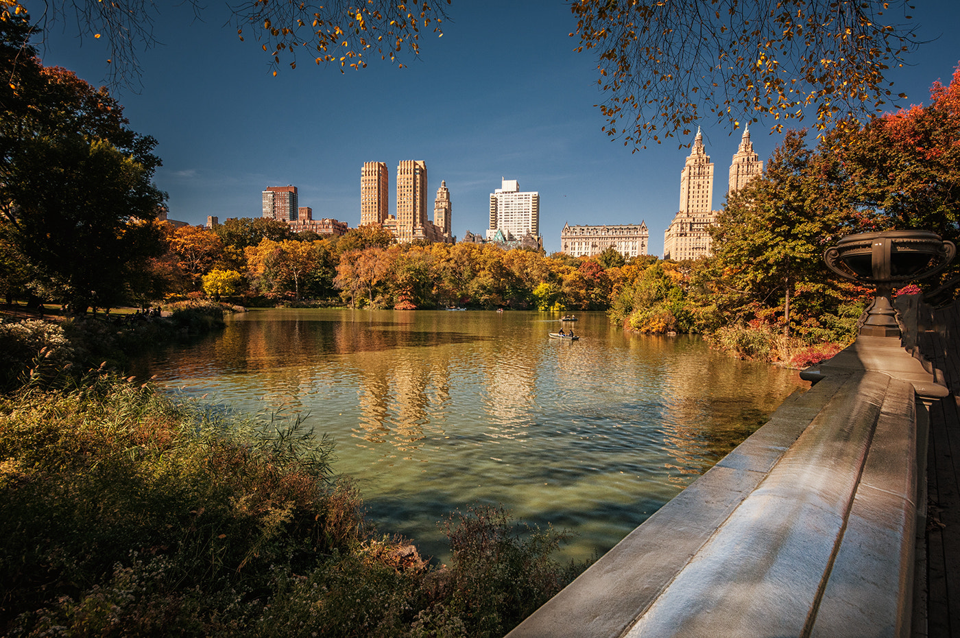 Sigma 8-16mm F4.5-5.6 DC HSM sample photo. Ny central park photography