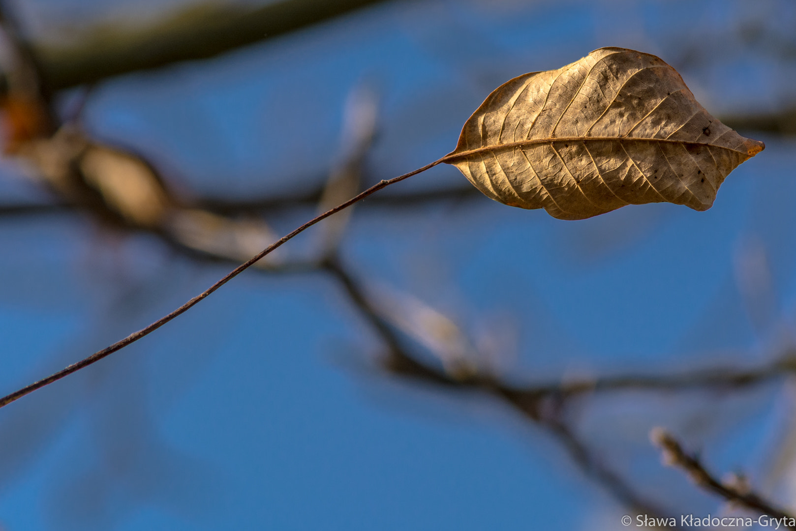 Nikon D7100 + AF Zoom-Nikkor 70-210mm f/4 sample photo. Autumn photography