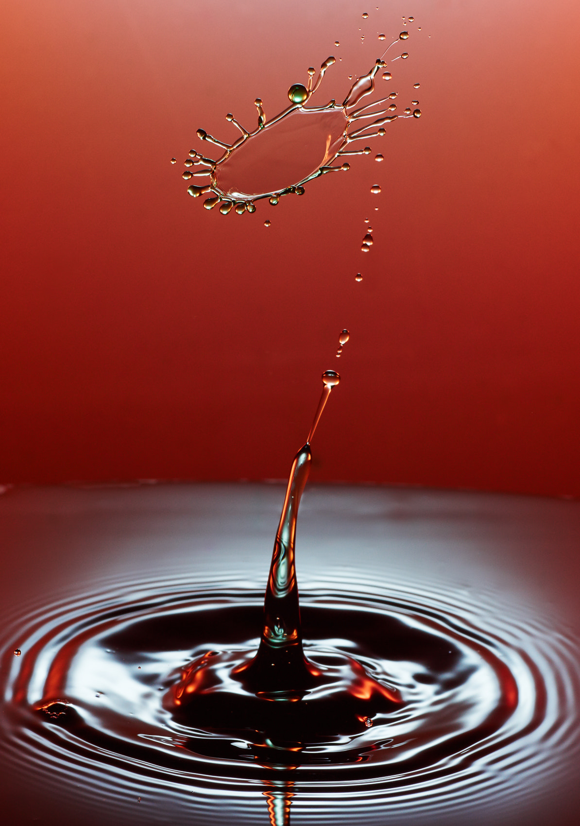 90mm F2.8 sample photo. Collide xvii photography