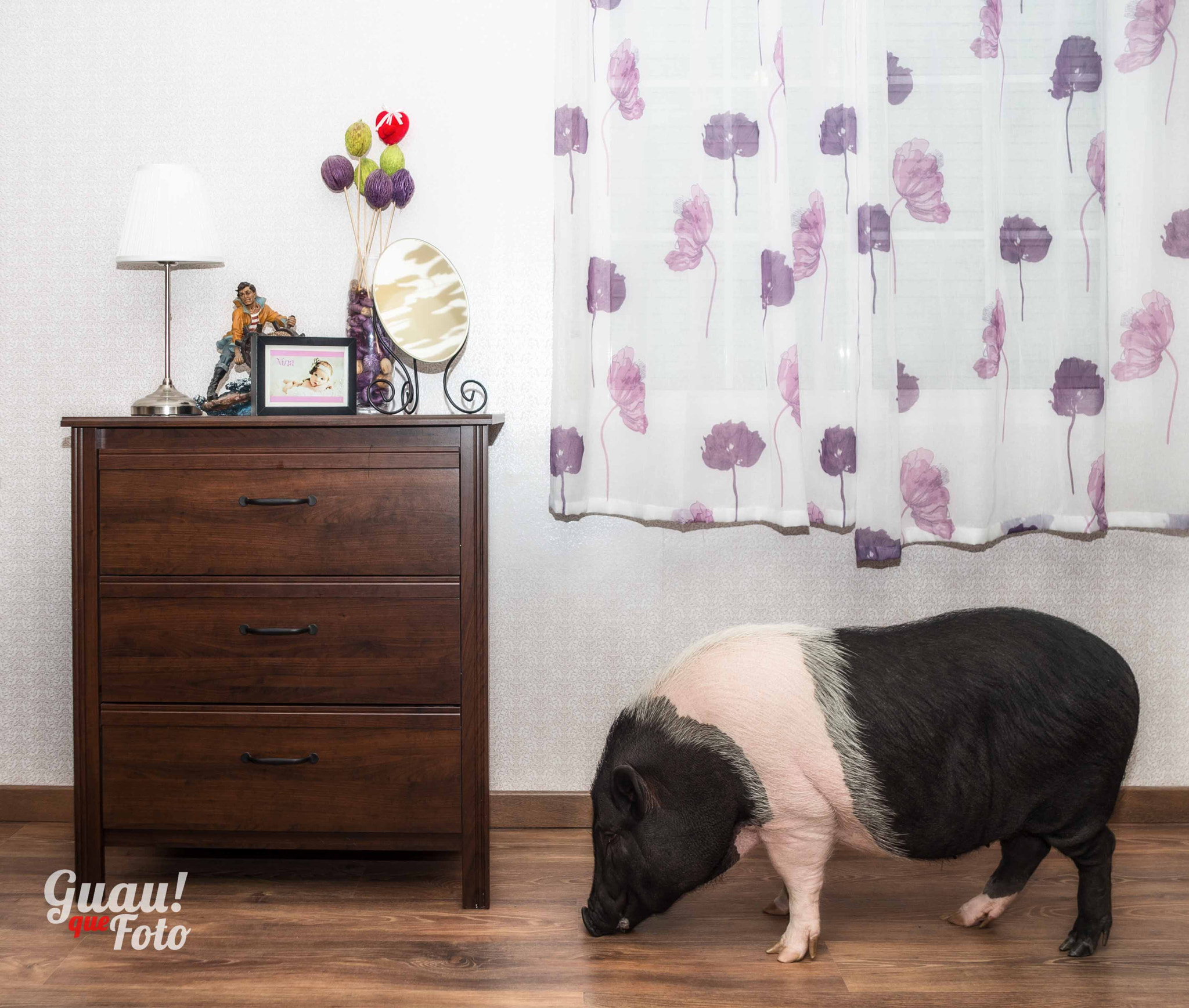 PENTAX-F 28-80mm F3.5-4.5 sample photo. En casa photography